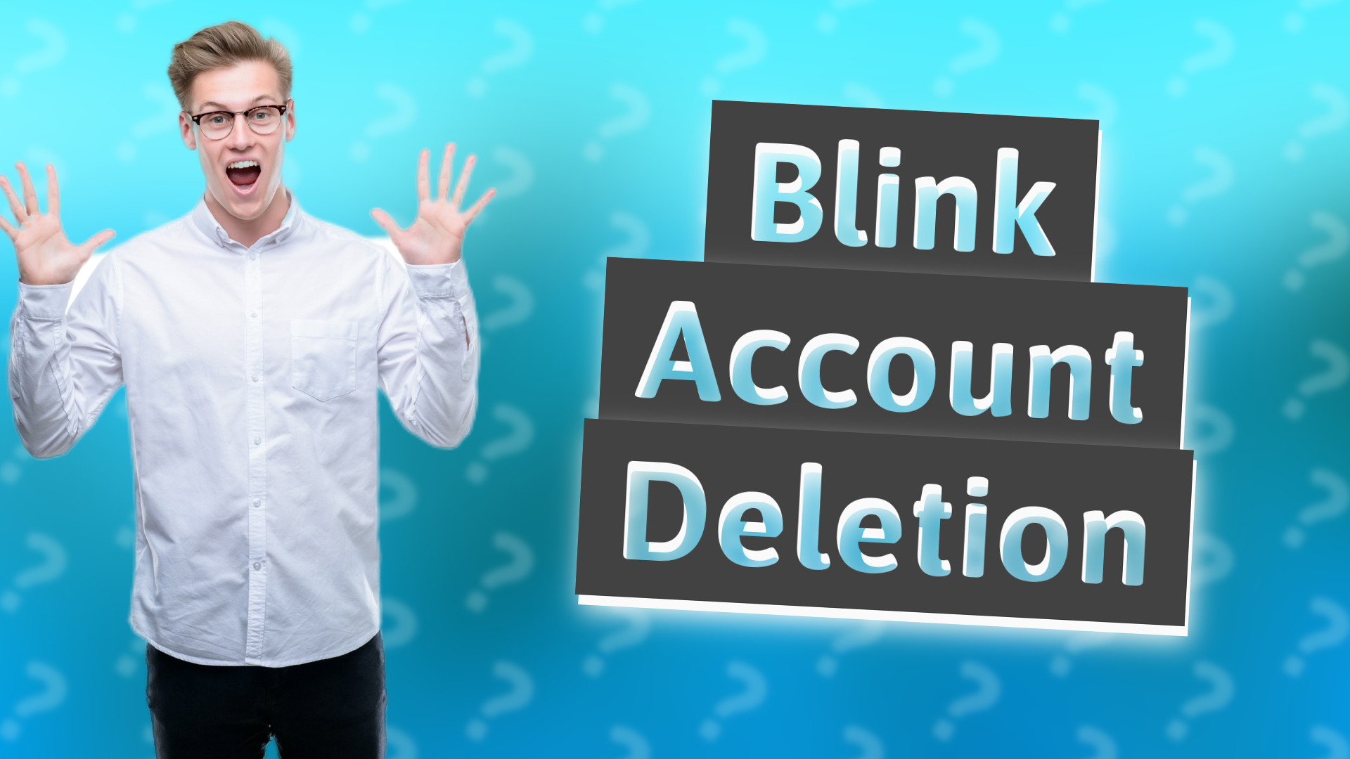 Blink Account Deletion