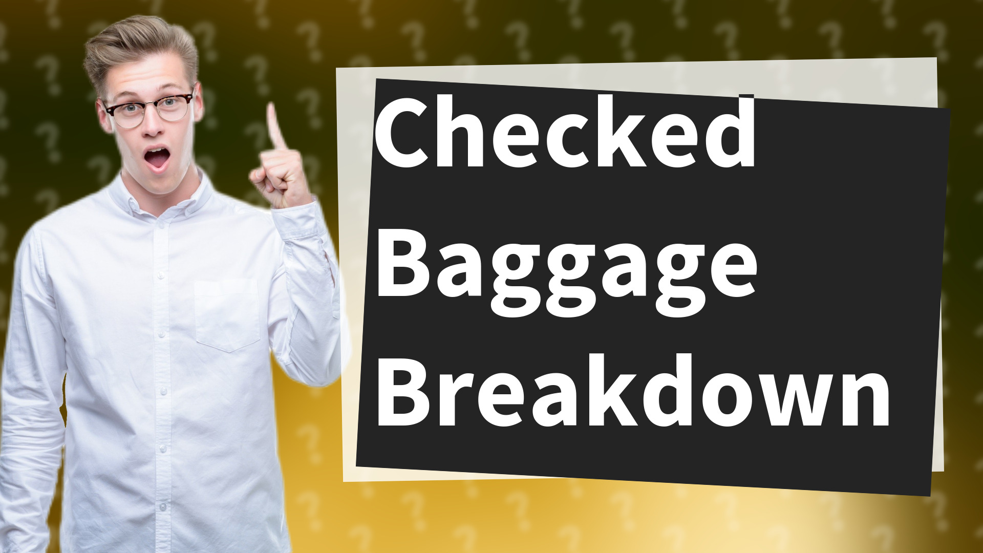 Checked Baggage Breakdown