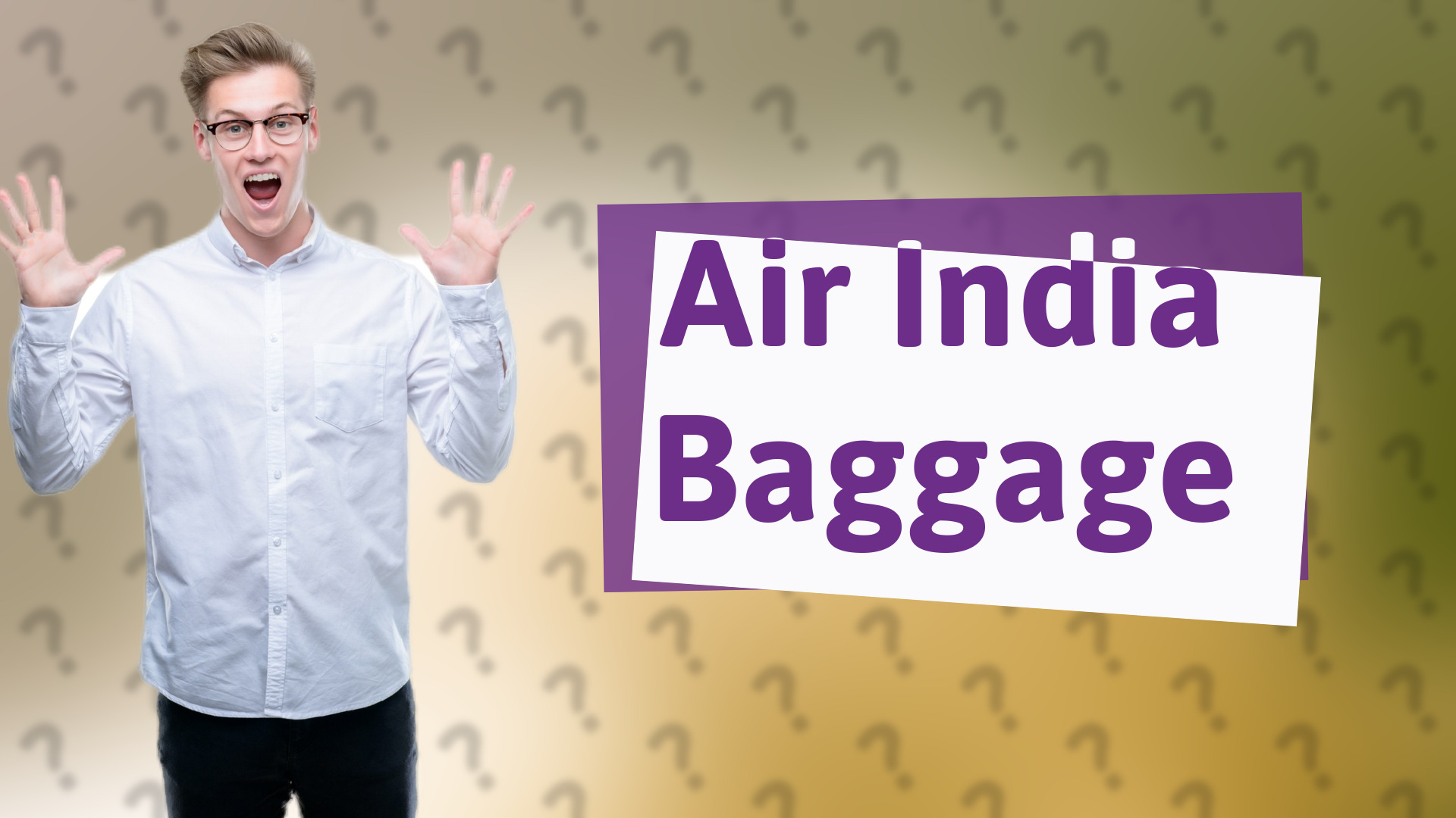 Air India Baggage