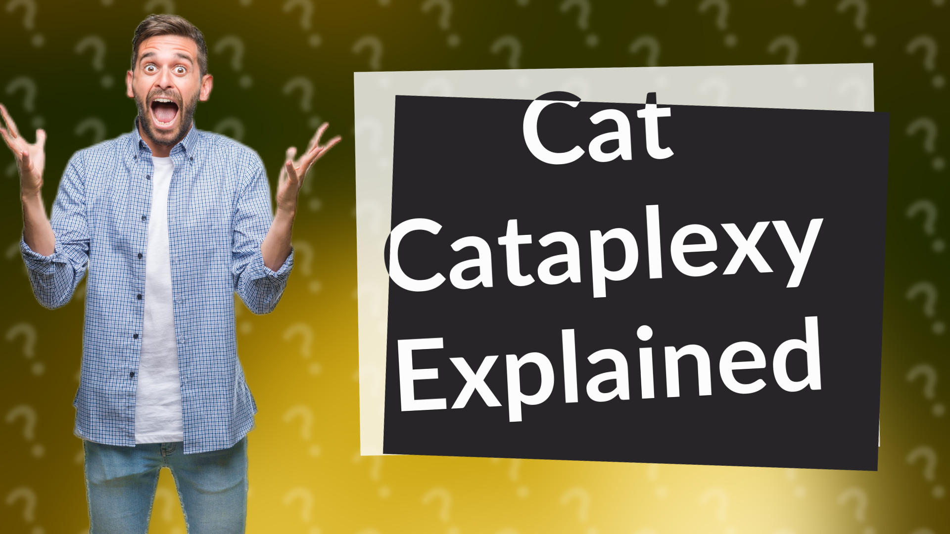 Cat Cataplexy Explained