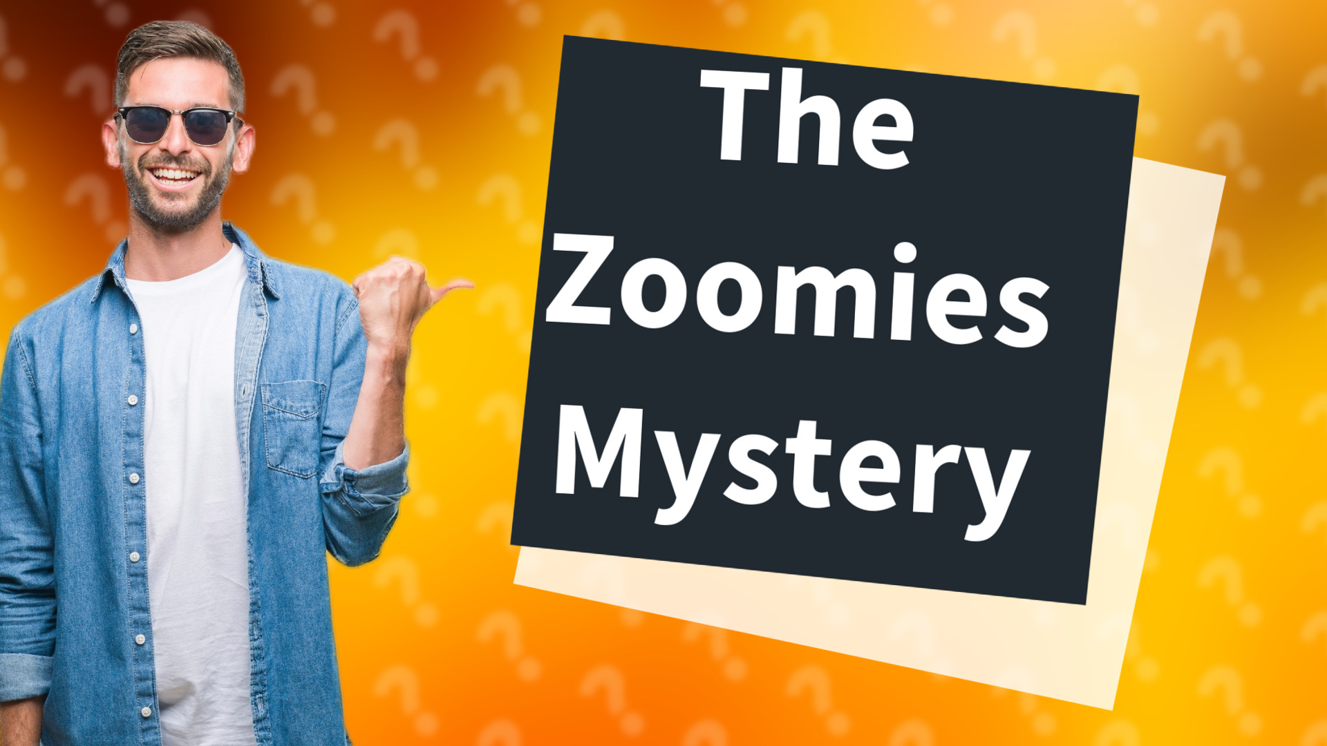 The Zoomies Mystery