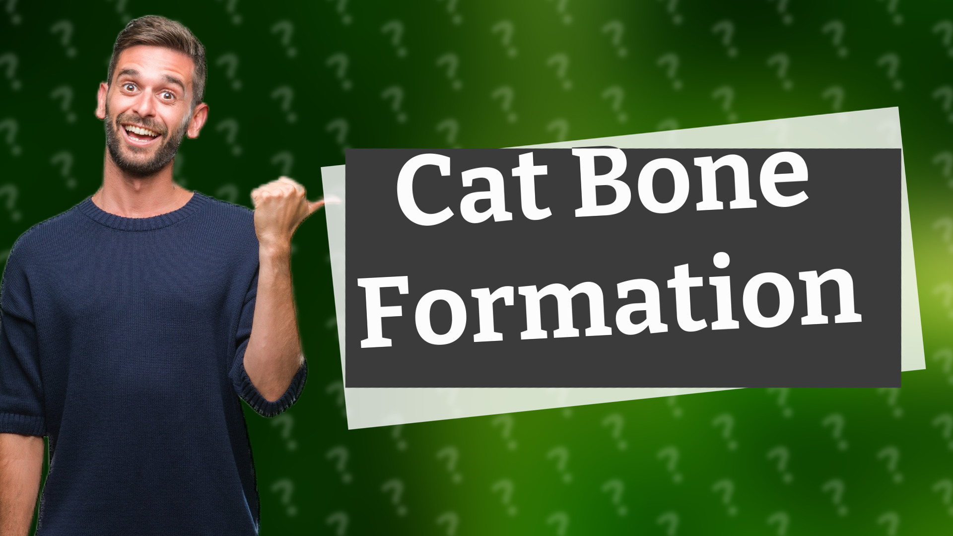 Cat Bone Formation