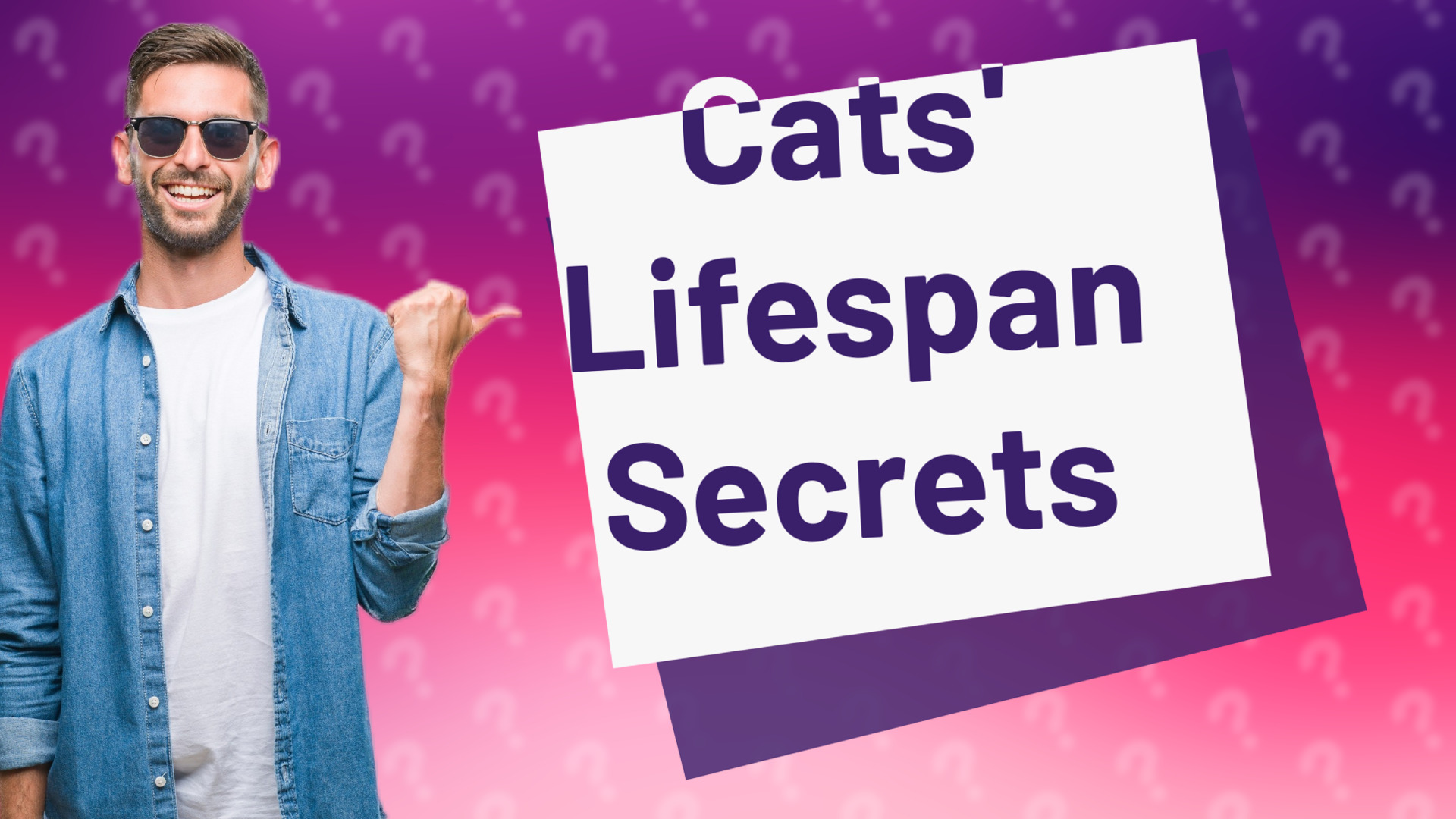 Cats' Lifespan Secrets