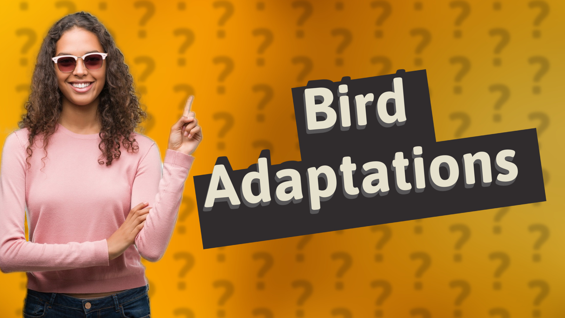 Bird Adaptations
