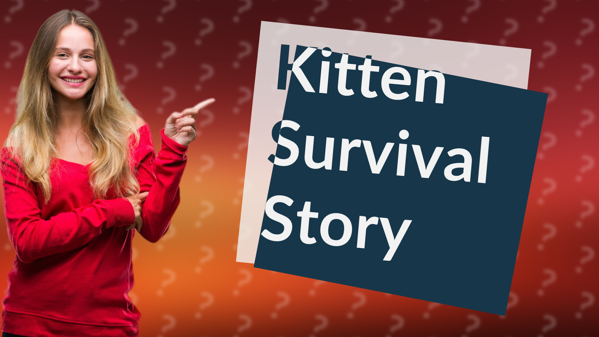Kitten Survival Story