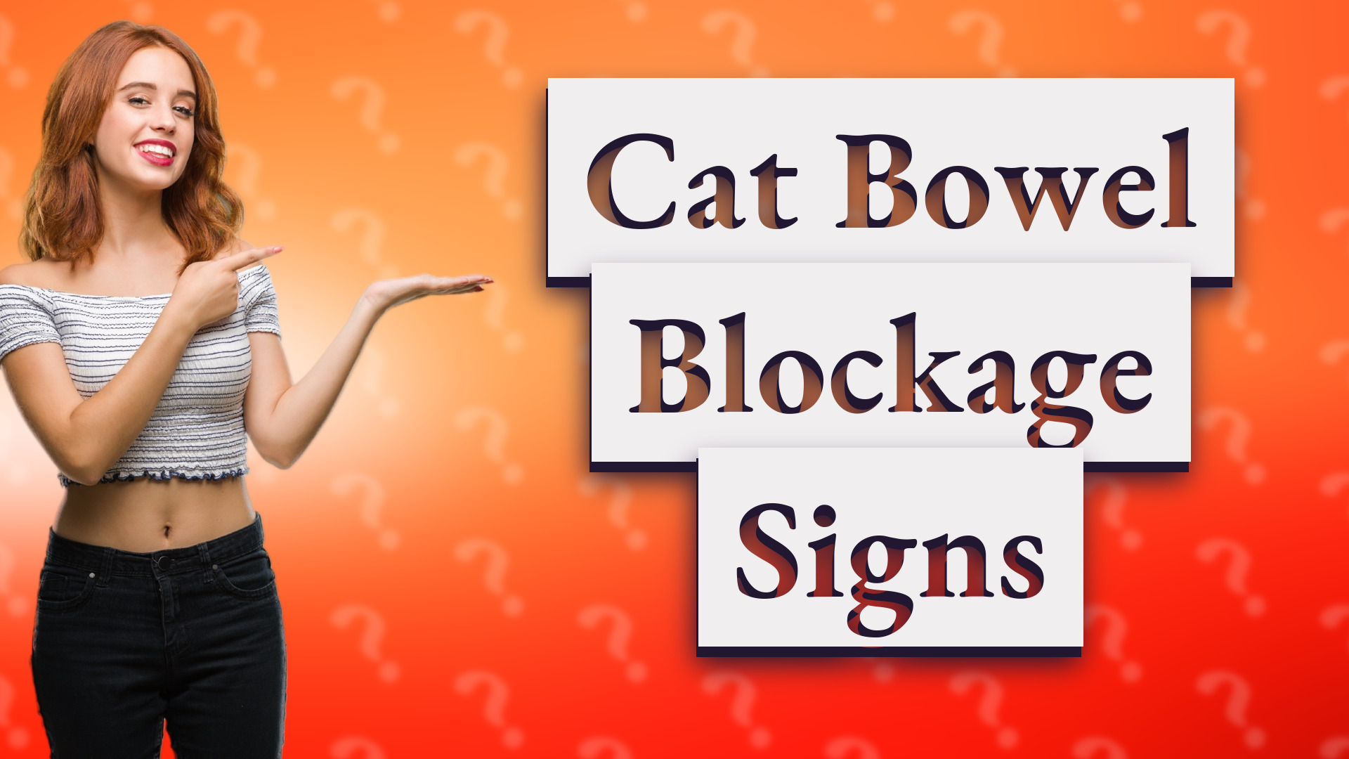 Cat Bowel Blockage Signs