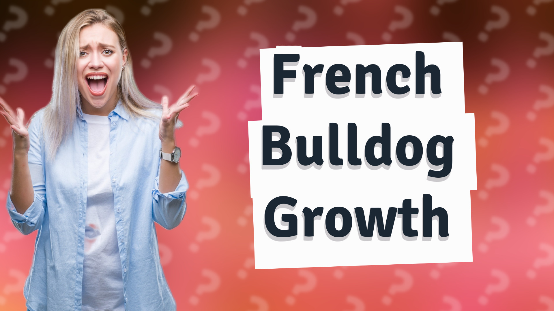 French Bulldog Growth
