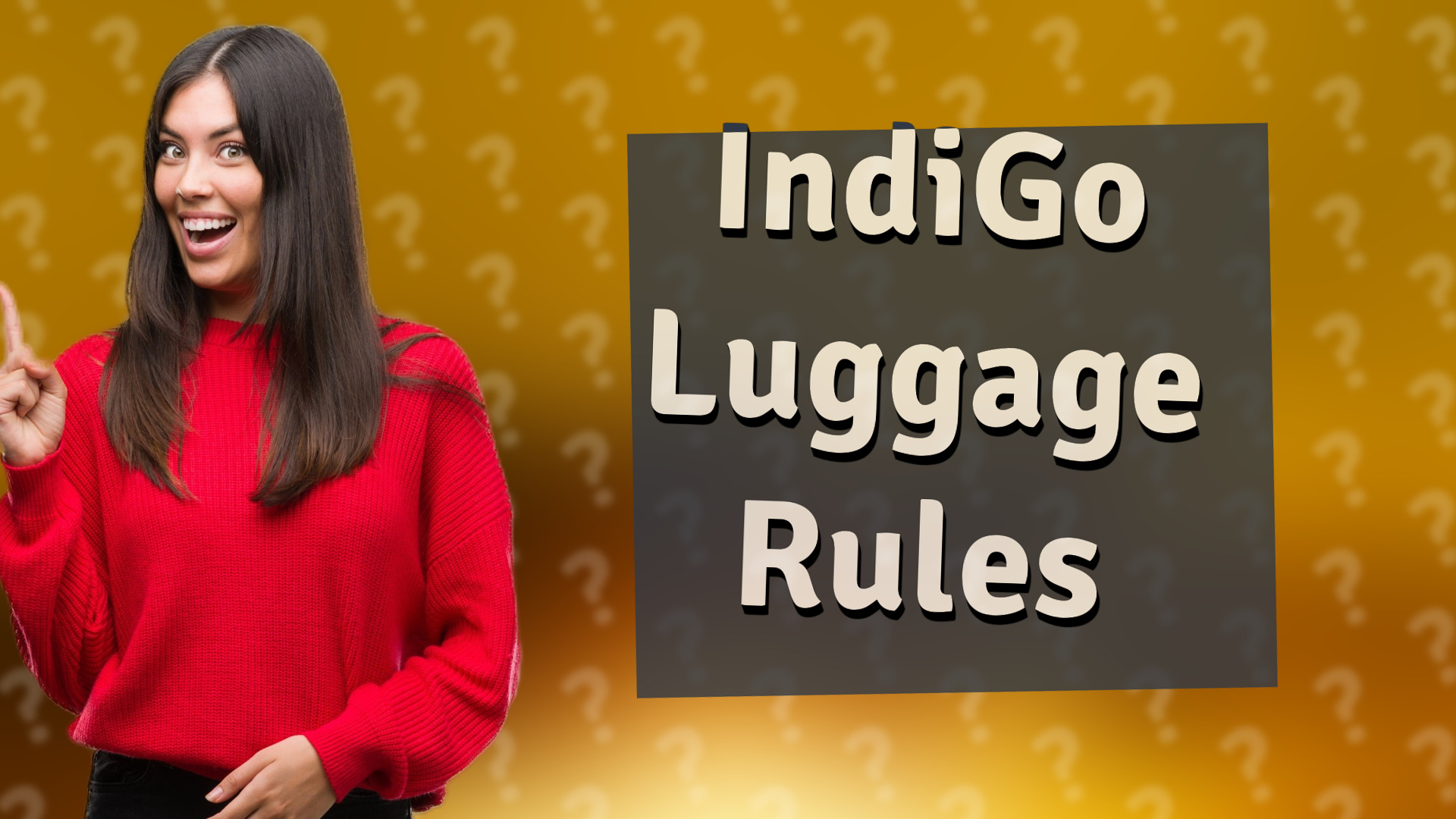 IndiGo Luggage Rules