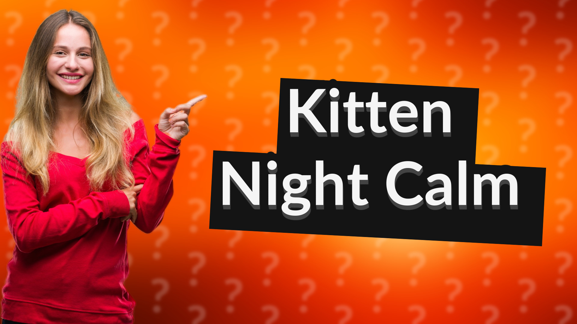 Kitten Night Calm