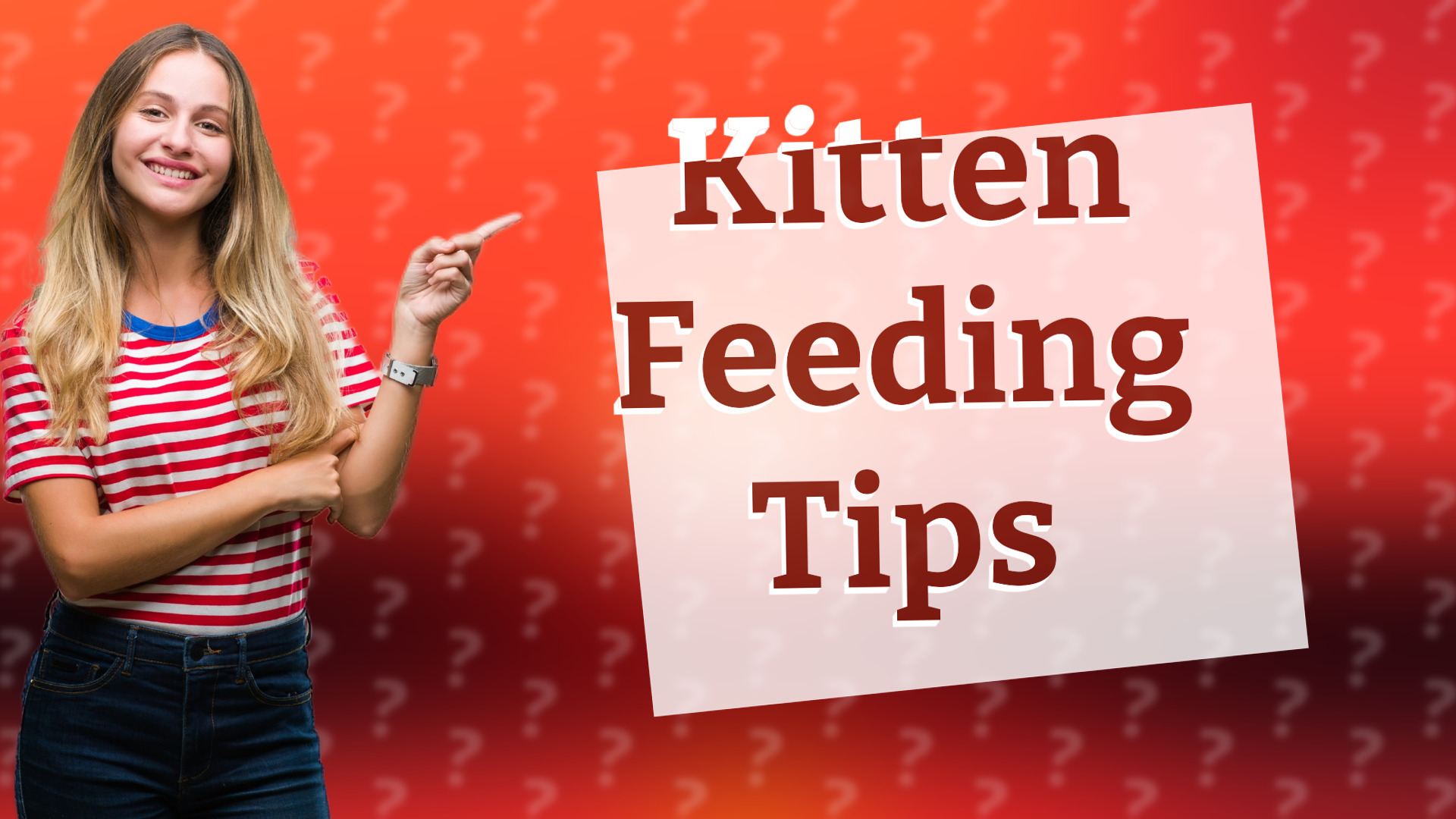 Kitten Feeding Tips