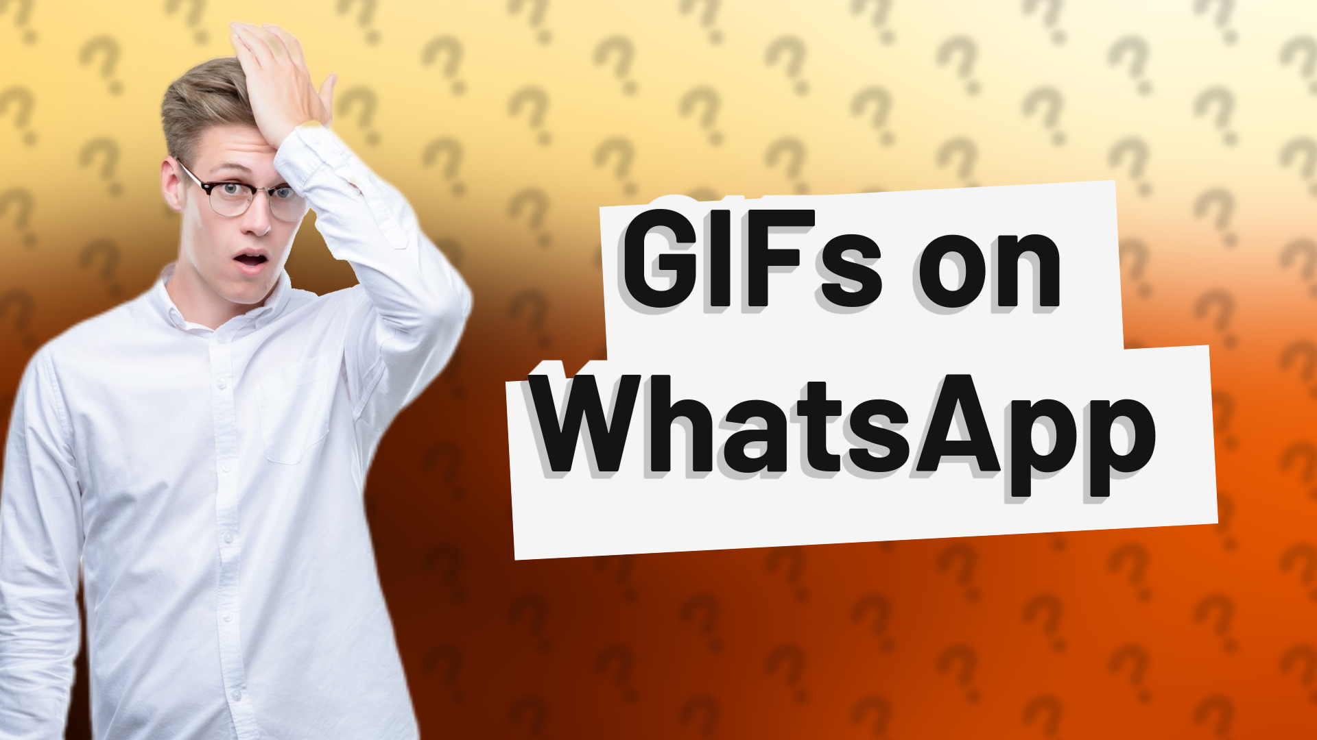 GIFs on WhatsApp
