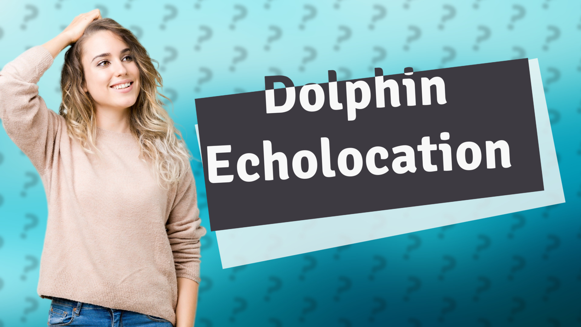 Dolphin Echolocation