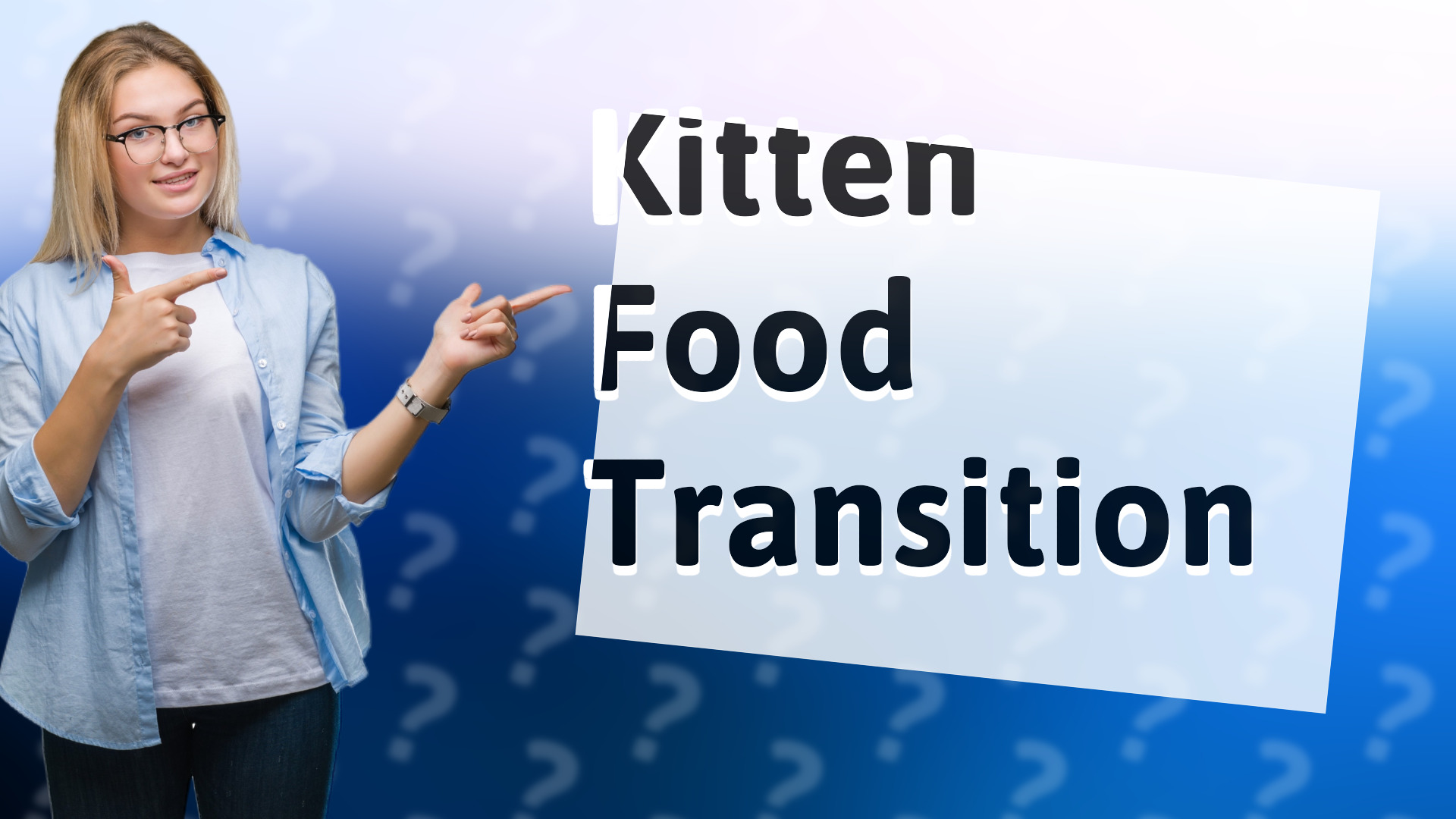 Kitten Food Transition