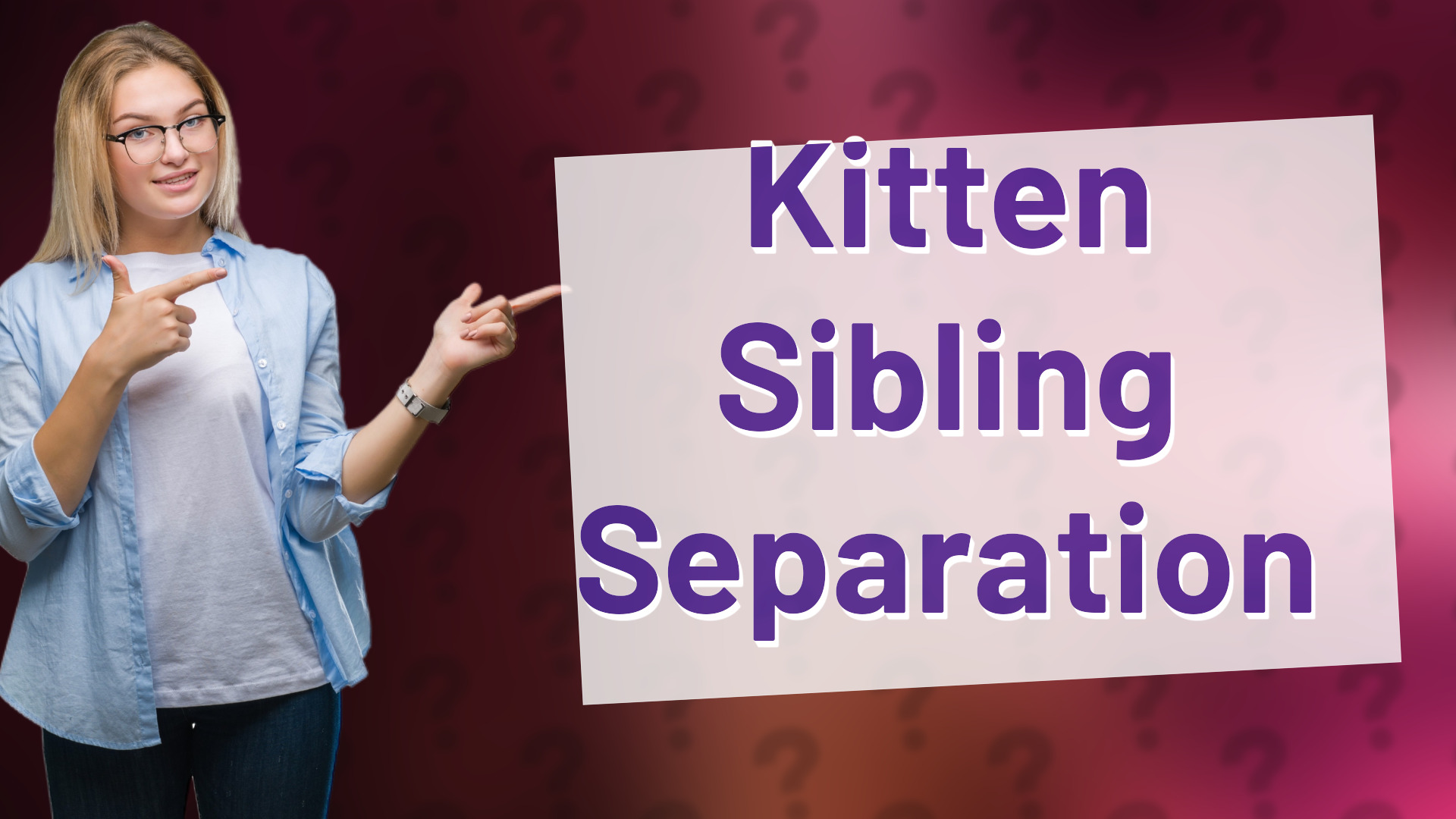 Kitten Sibling Separation