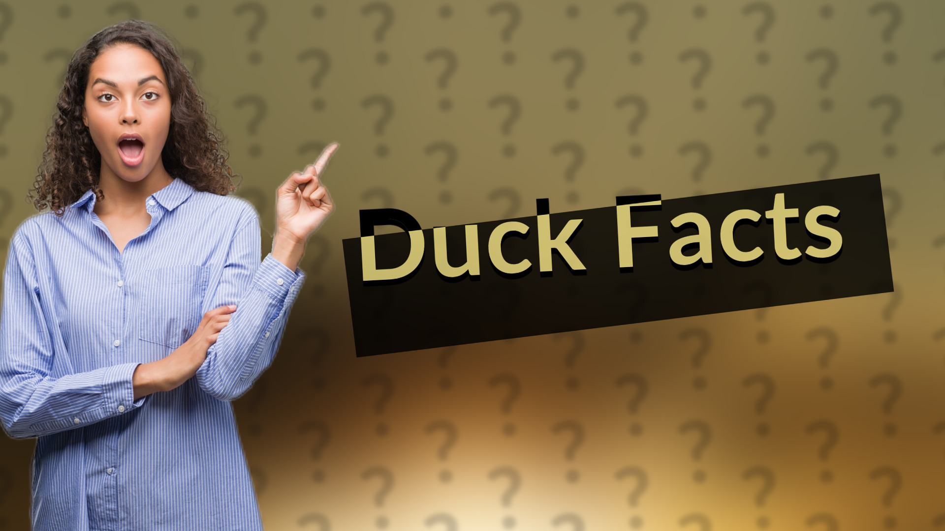 Duck Facts