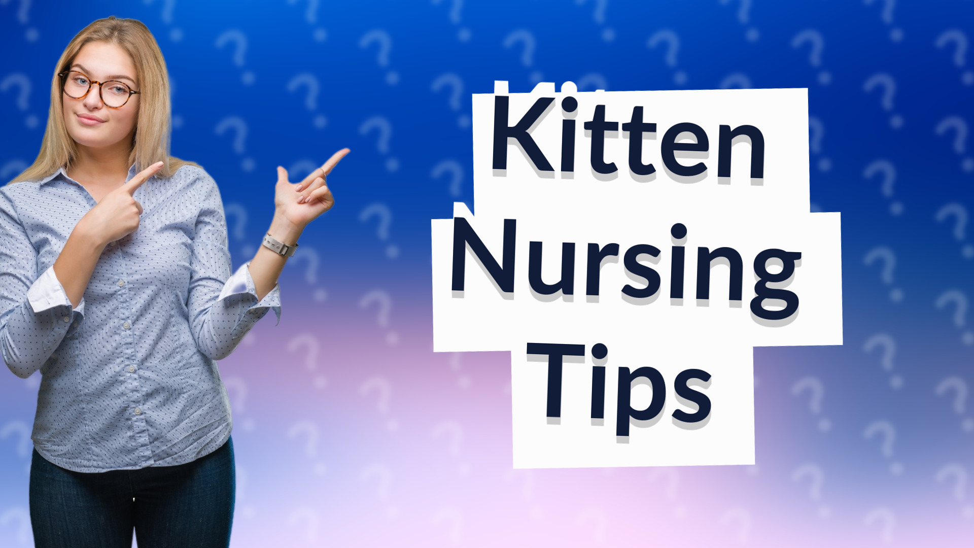 Kitten Nursing Tips