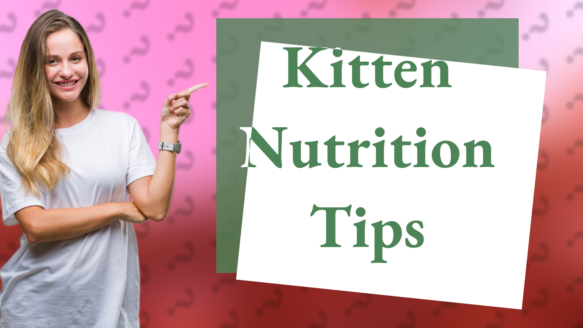 Kitten Nutrition Tips