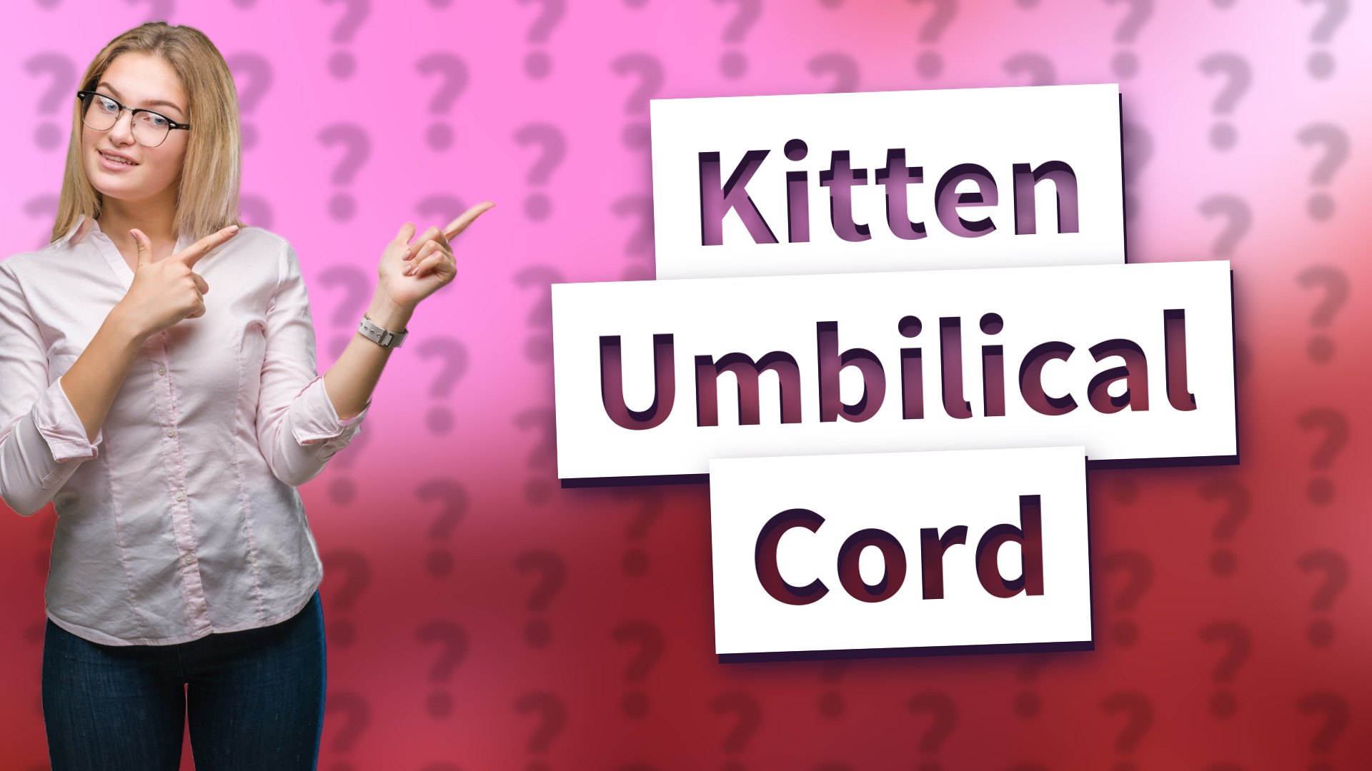 Kitten Umbilical Cord