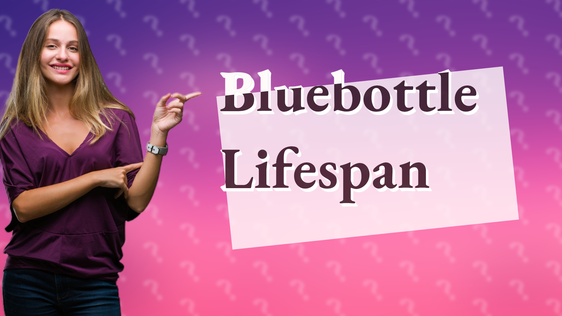 Bluebottle Lifespan