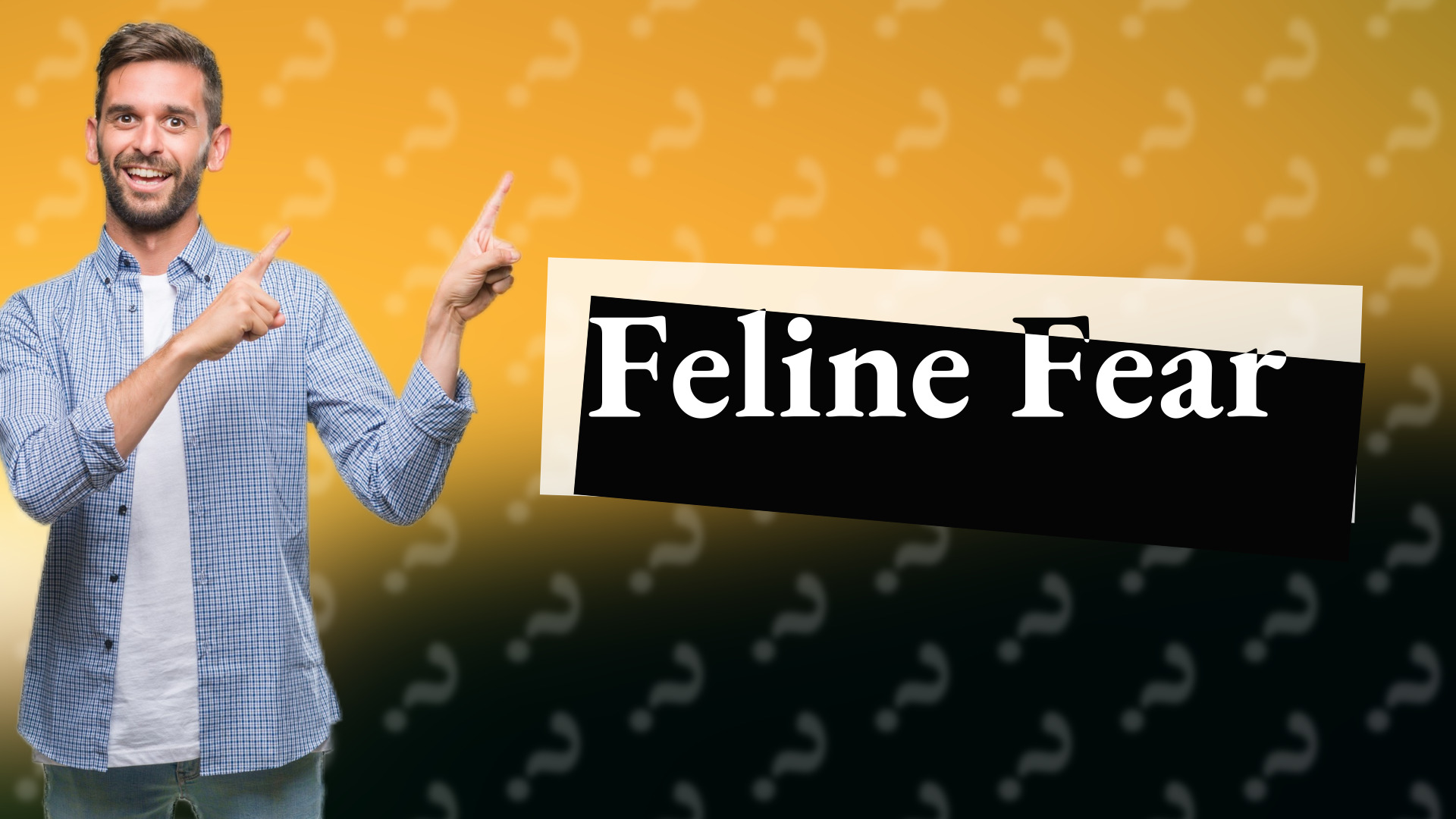Feline Fear