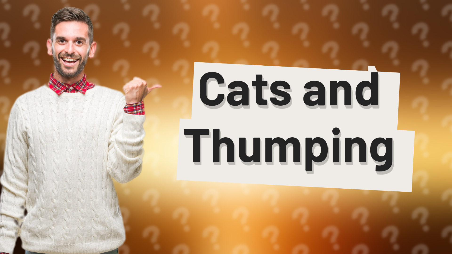Cats and Thumping