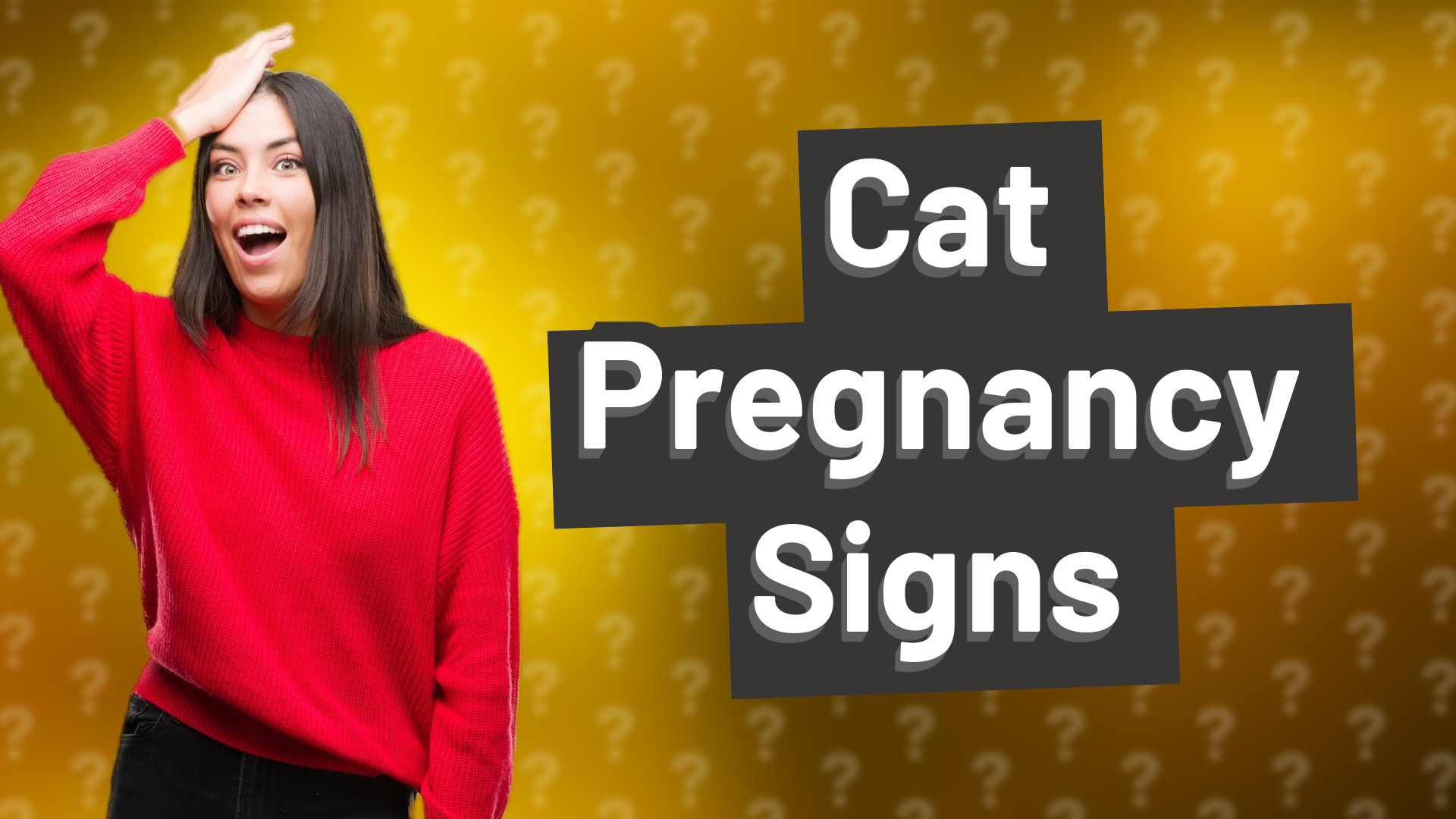 Cat Pregnancy Signs