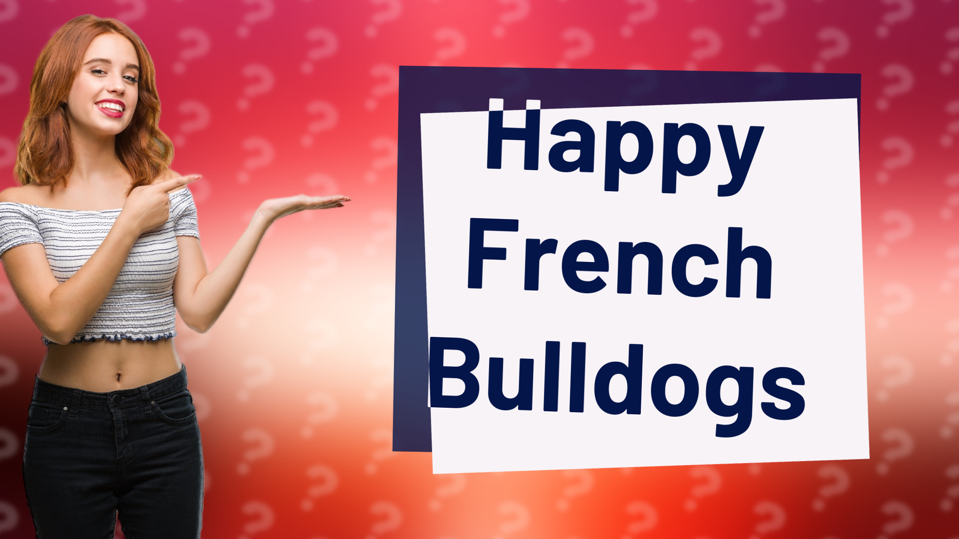 Happy French Bulldogs