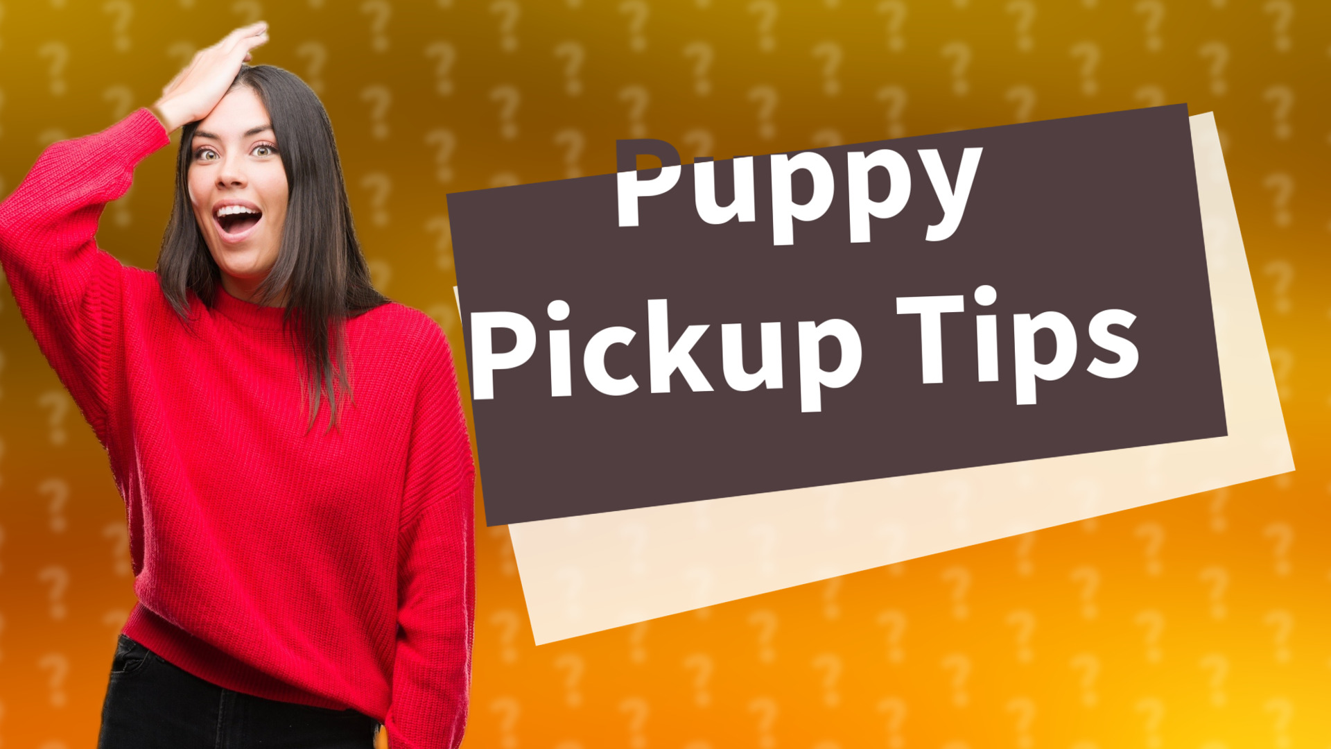 Puppy Pickup Tips