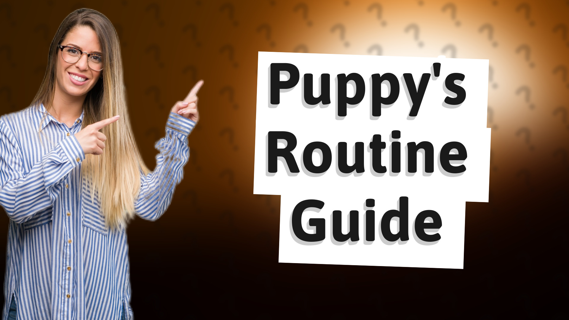 Puppy's Routine Guide