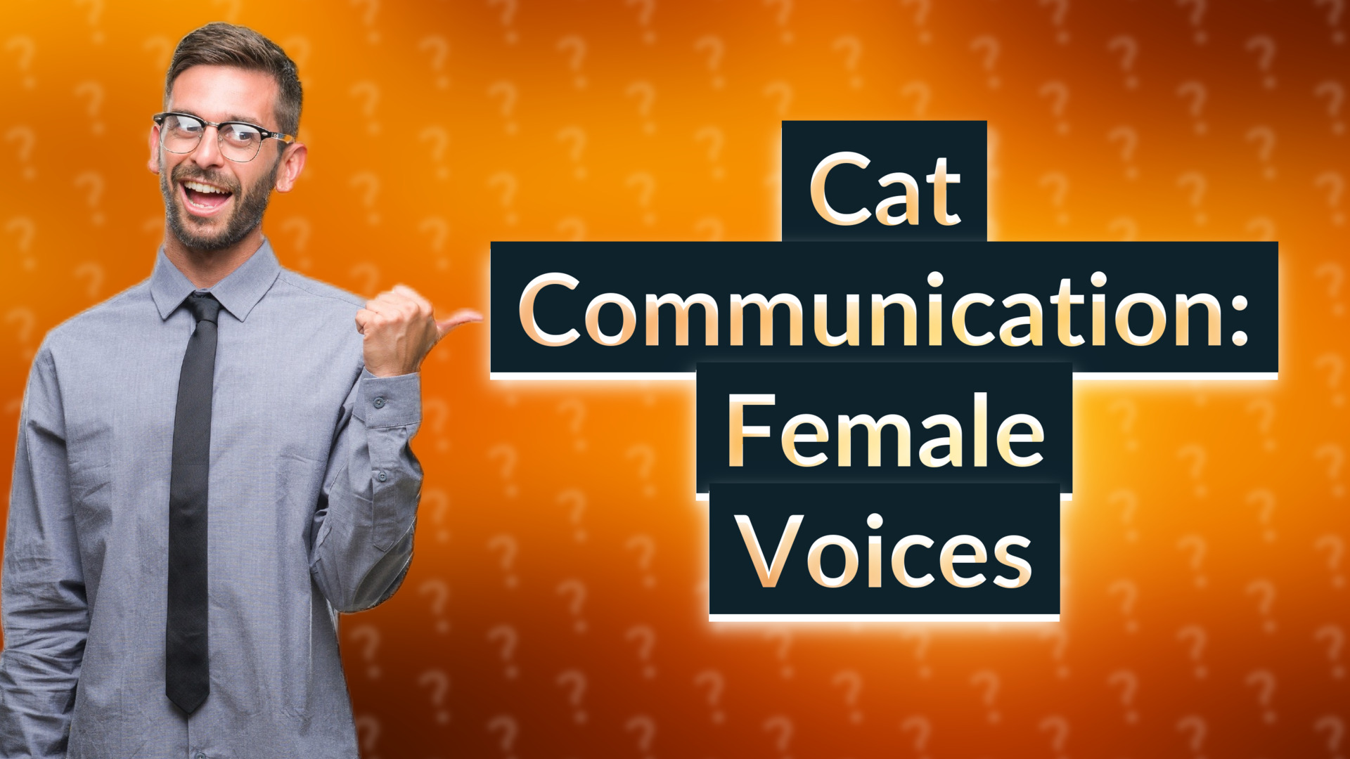 Cat Communication: Female Voices