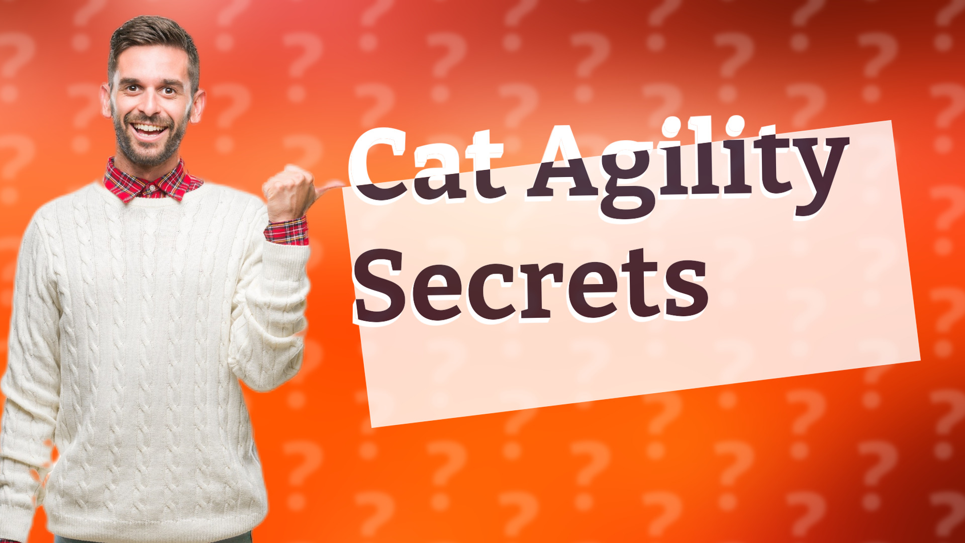 Cat Agility Secrets