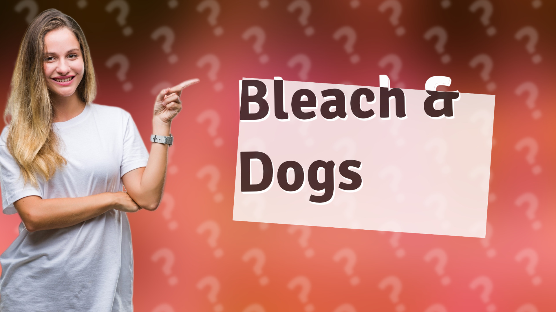 Bleach & Dogs