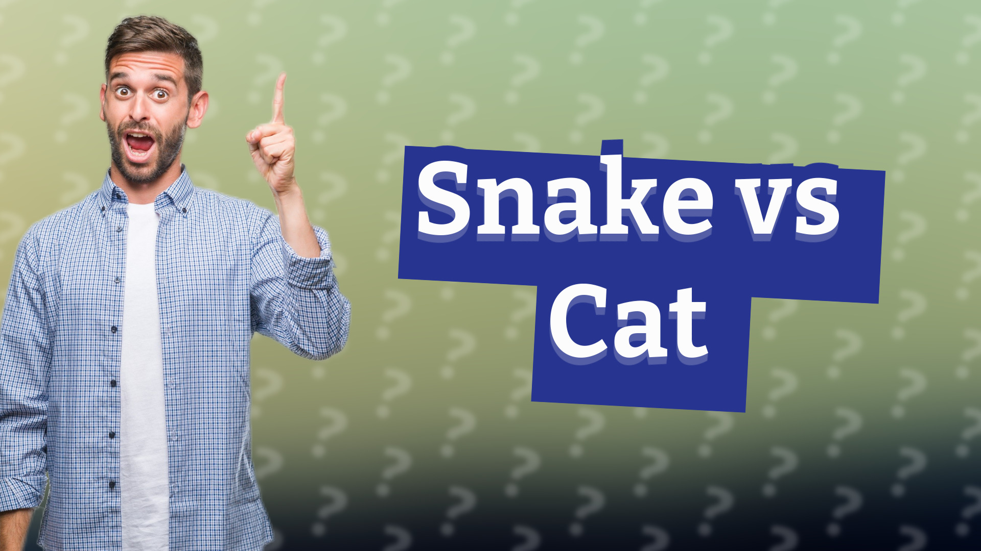 Snake vs Cat