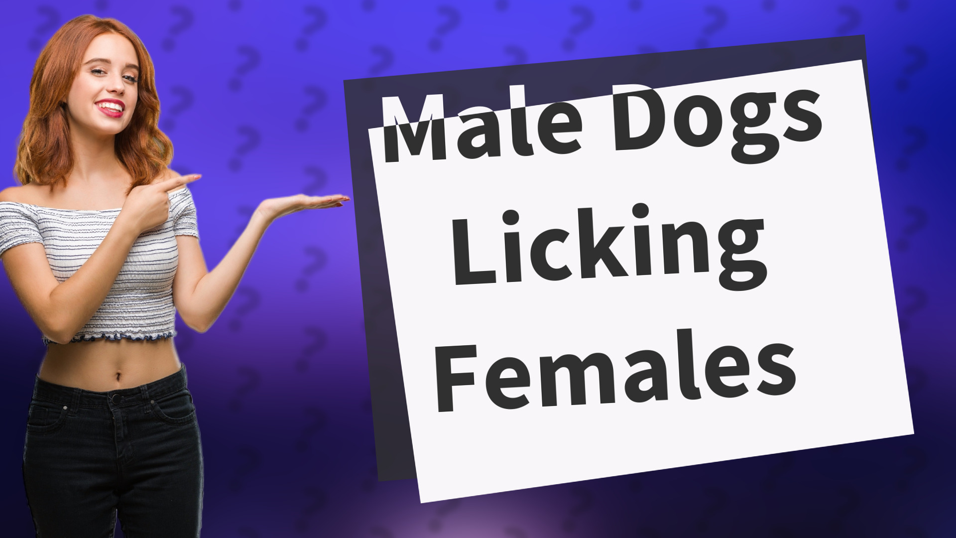 Male Dogs Licking Females