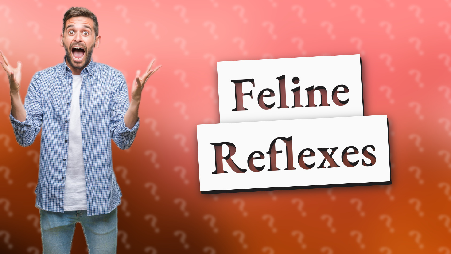 Feline Reflexes