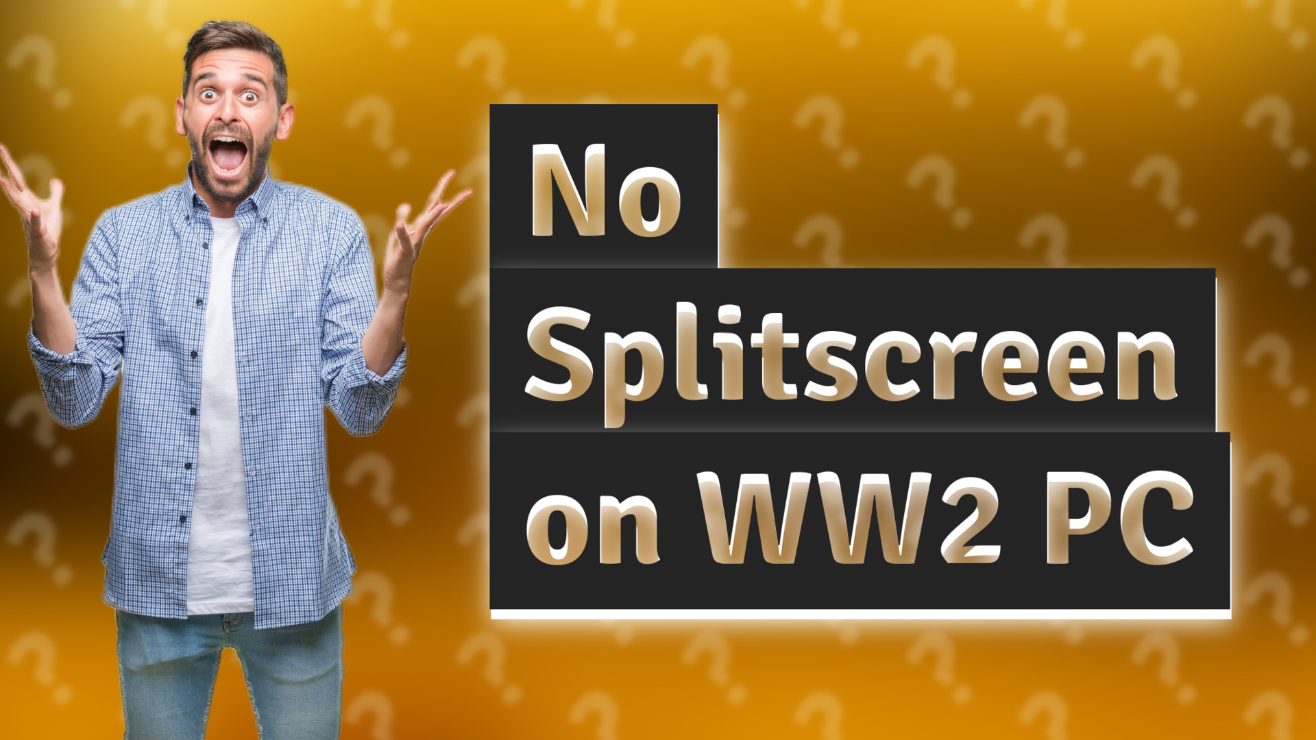 No Splitscreen on WW2 PC