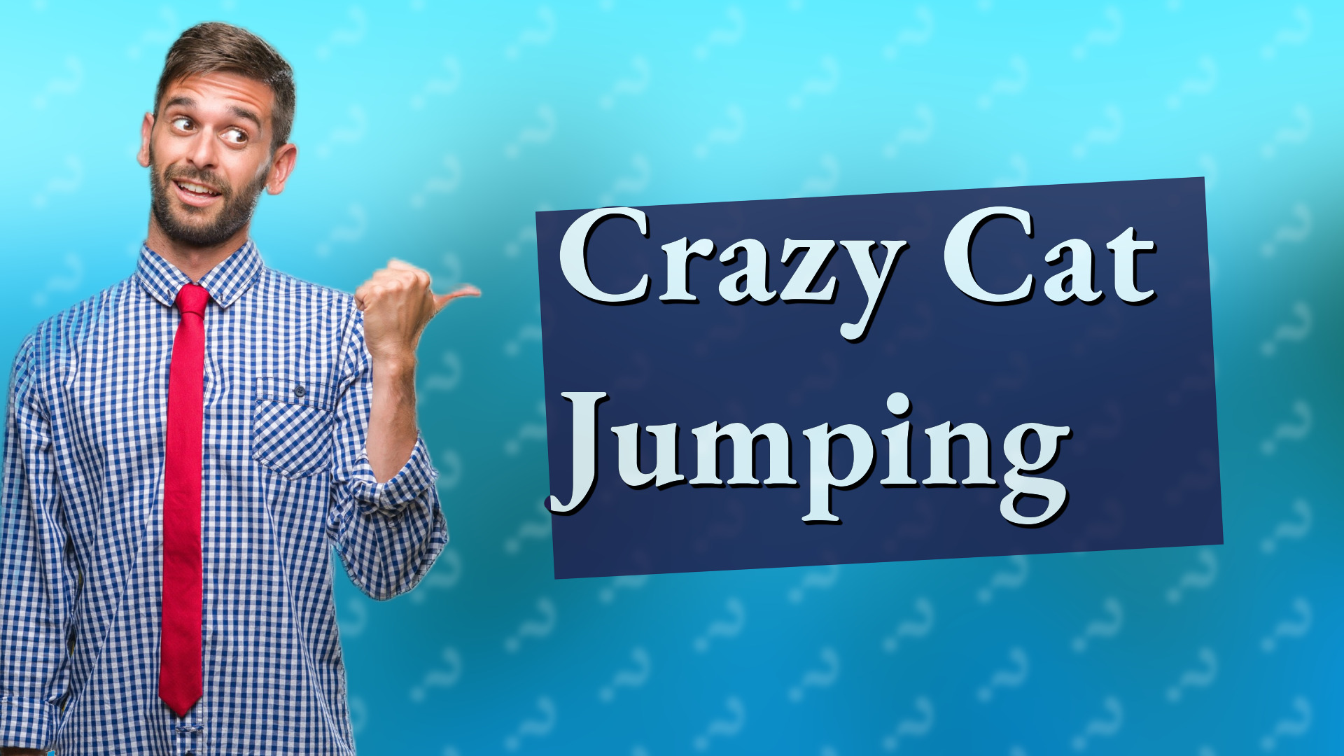 Crazy Cat Jumping