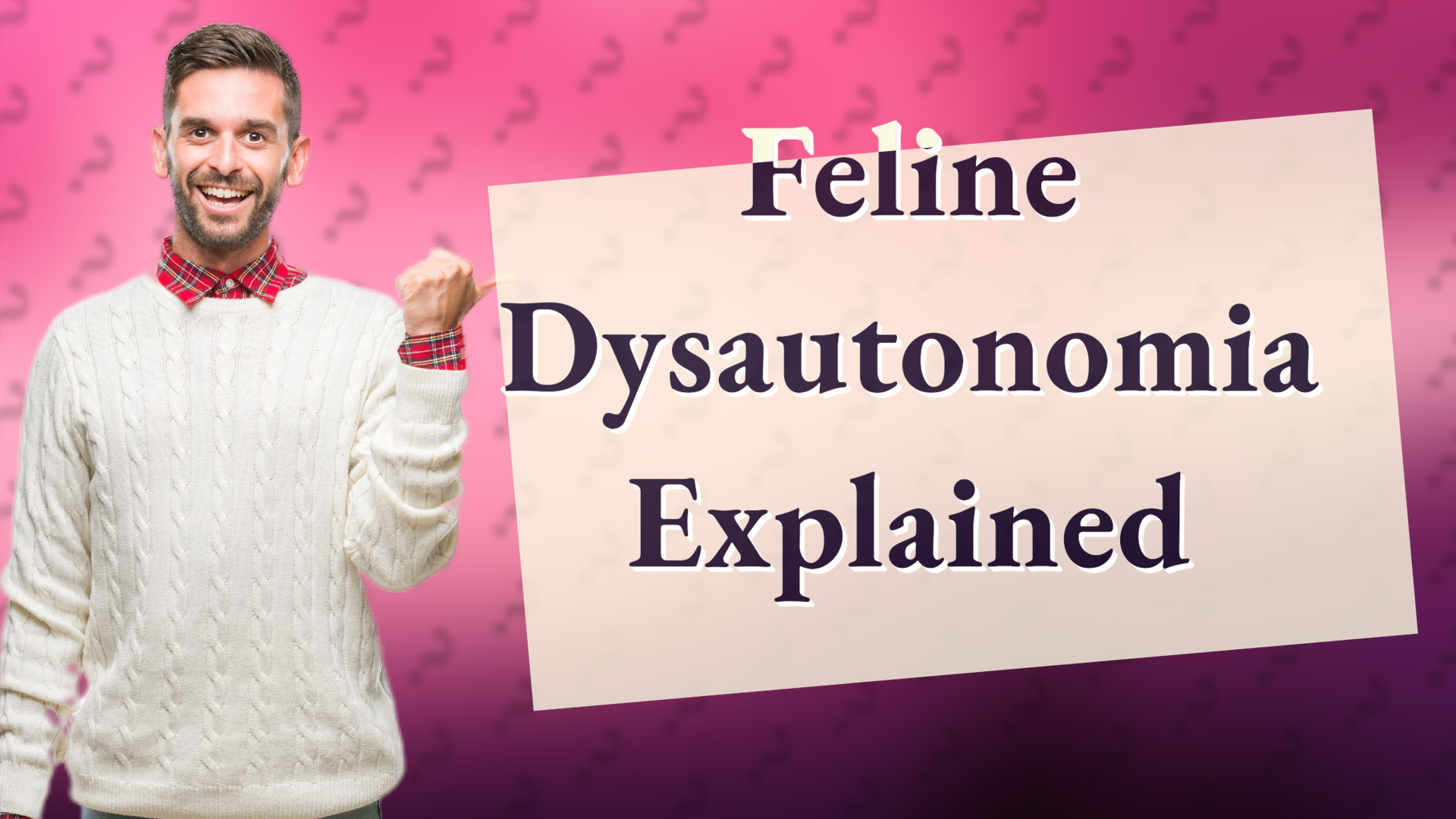 Feline Dysautonomia Explained