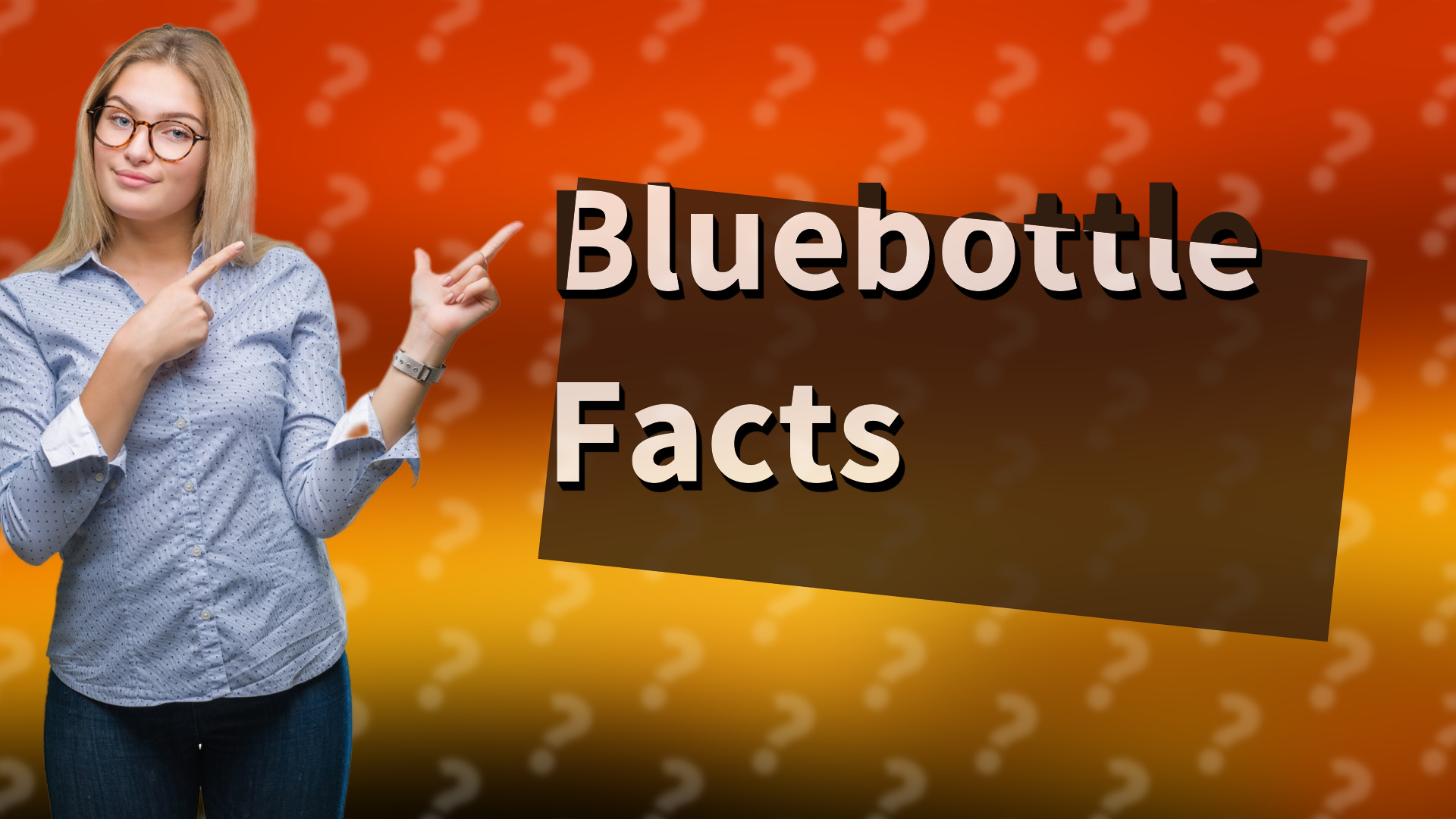 Bluebottle Facts