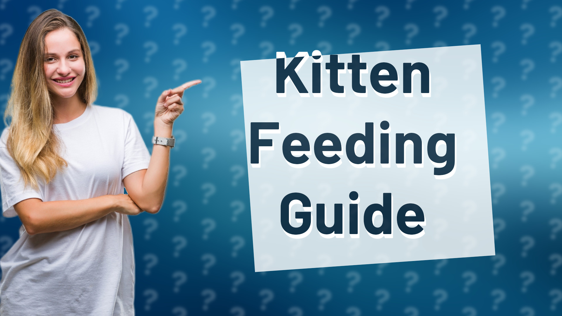 Kitten Feeding Guide