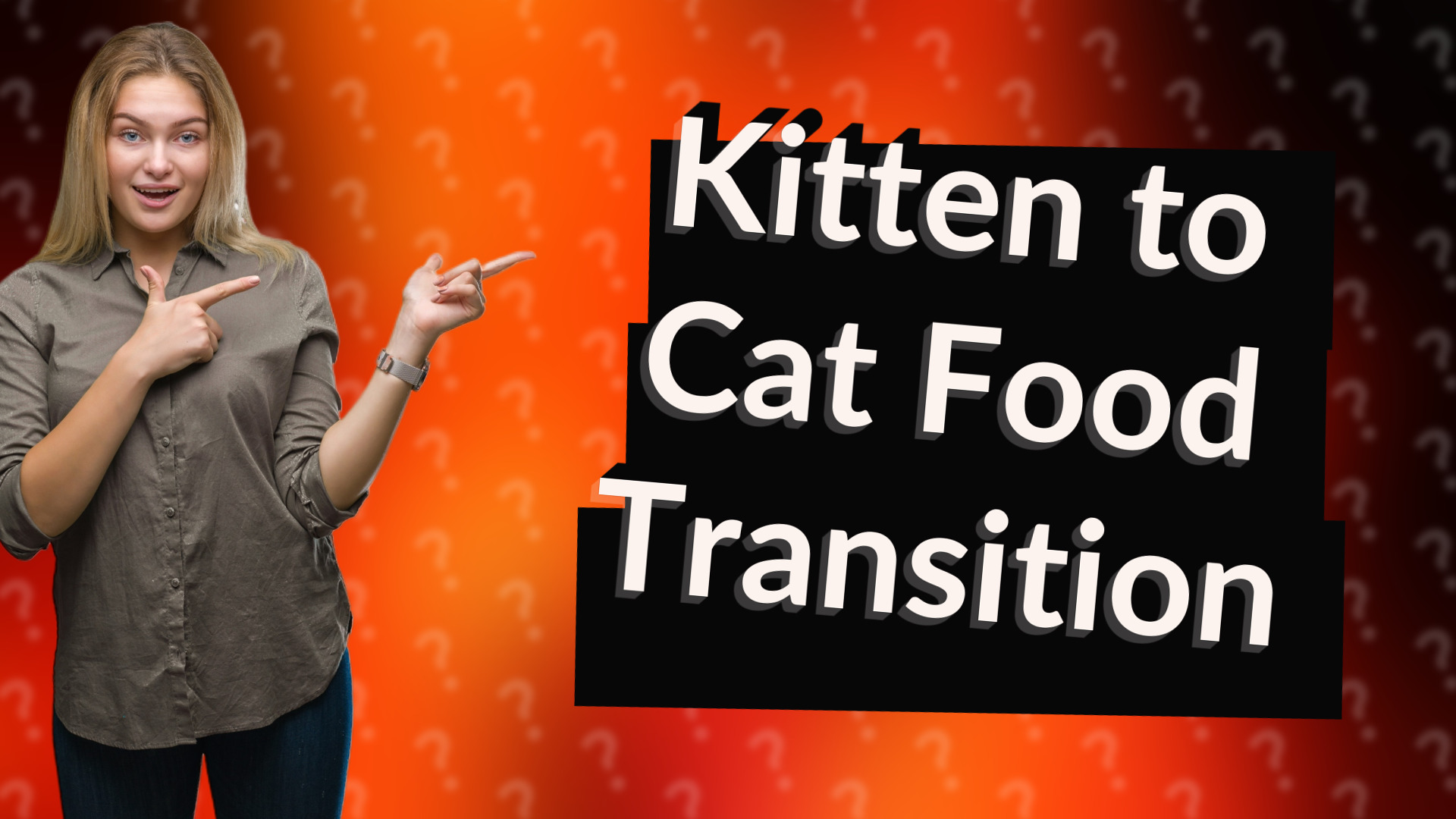 Kitten to Cat Food Transition