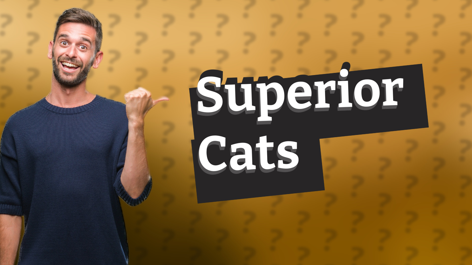 Superior Cats