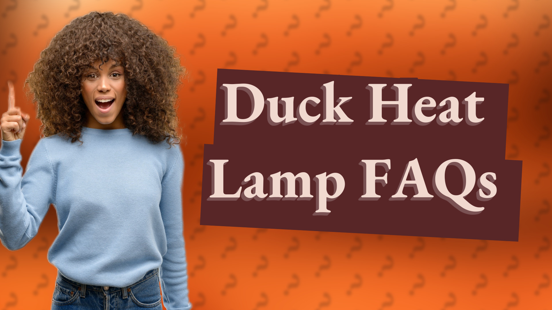 Duck Heat Lamp FAQs