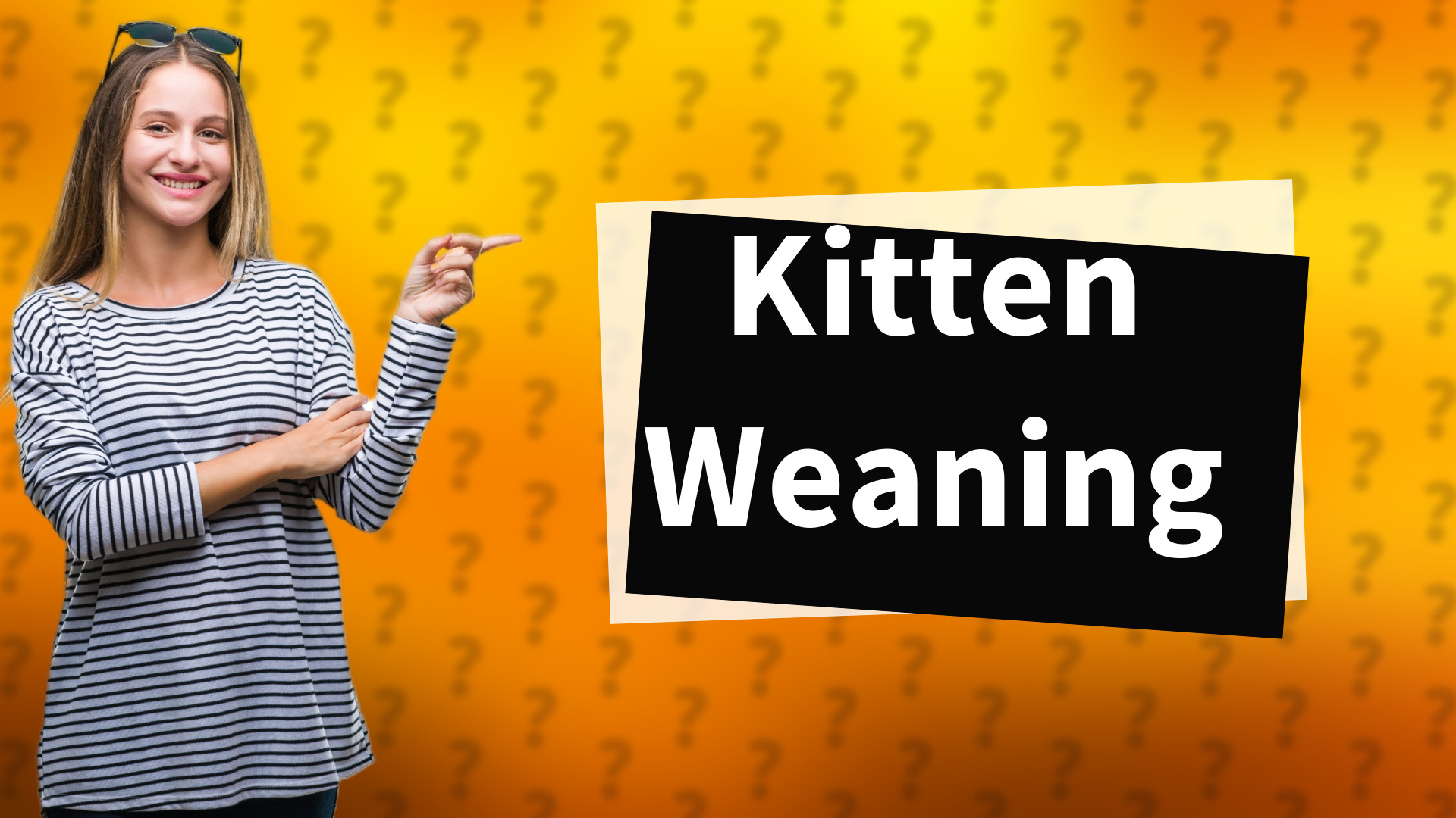 Kitten Weaning
