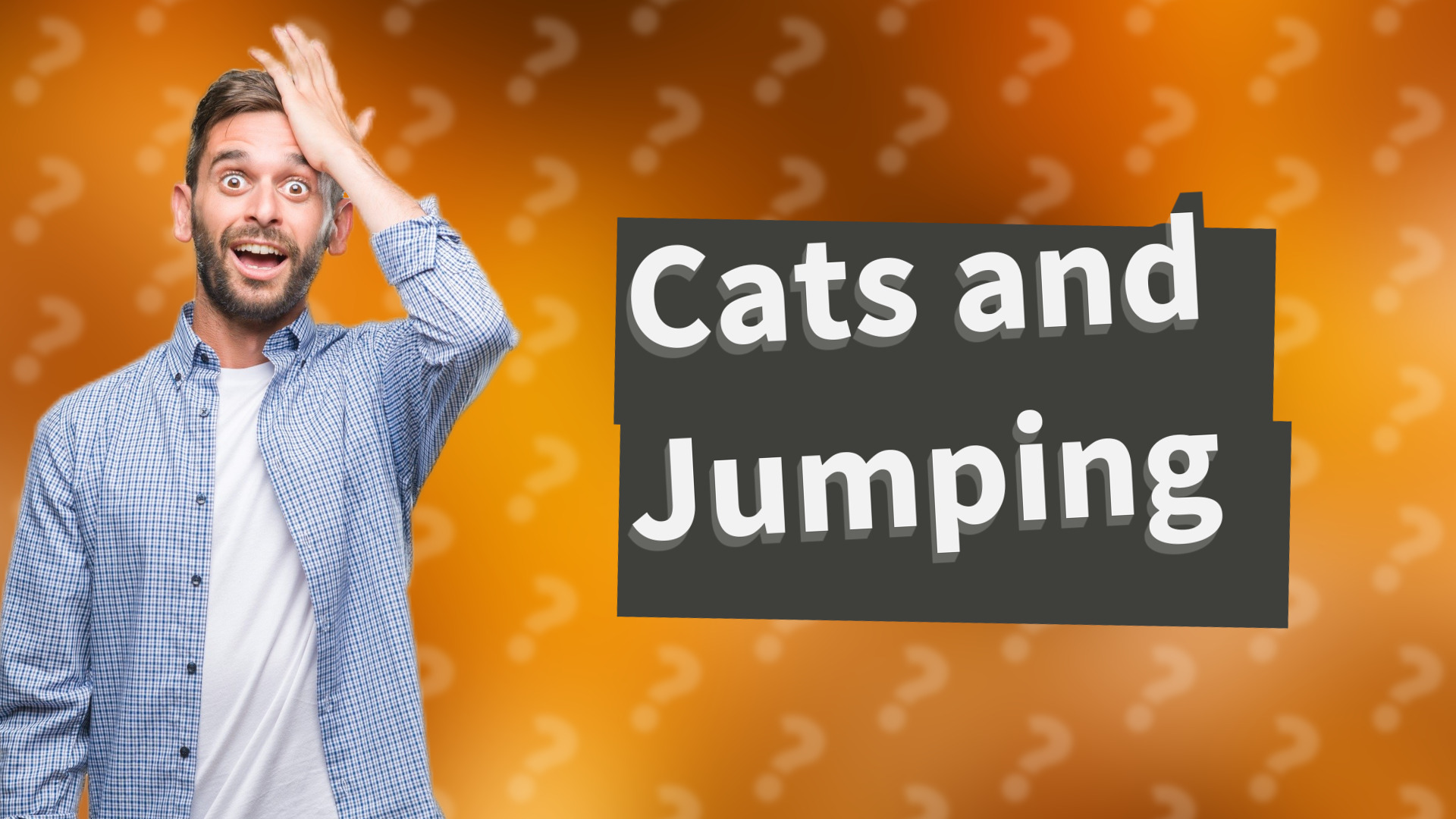 Cats and Jumping