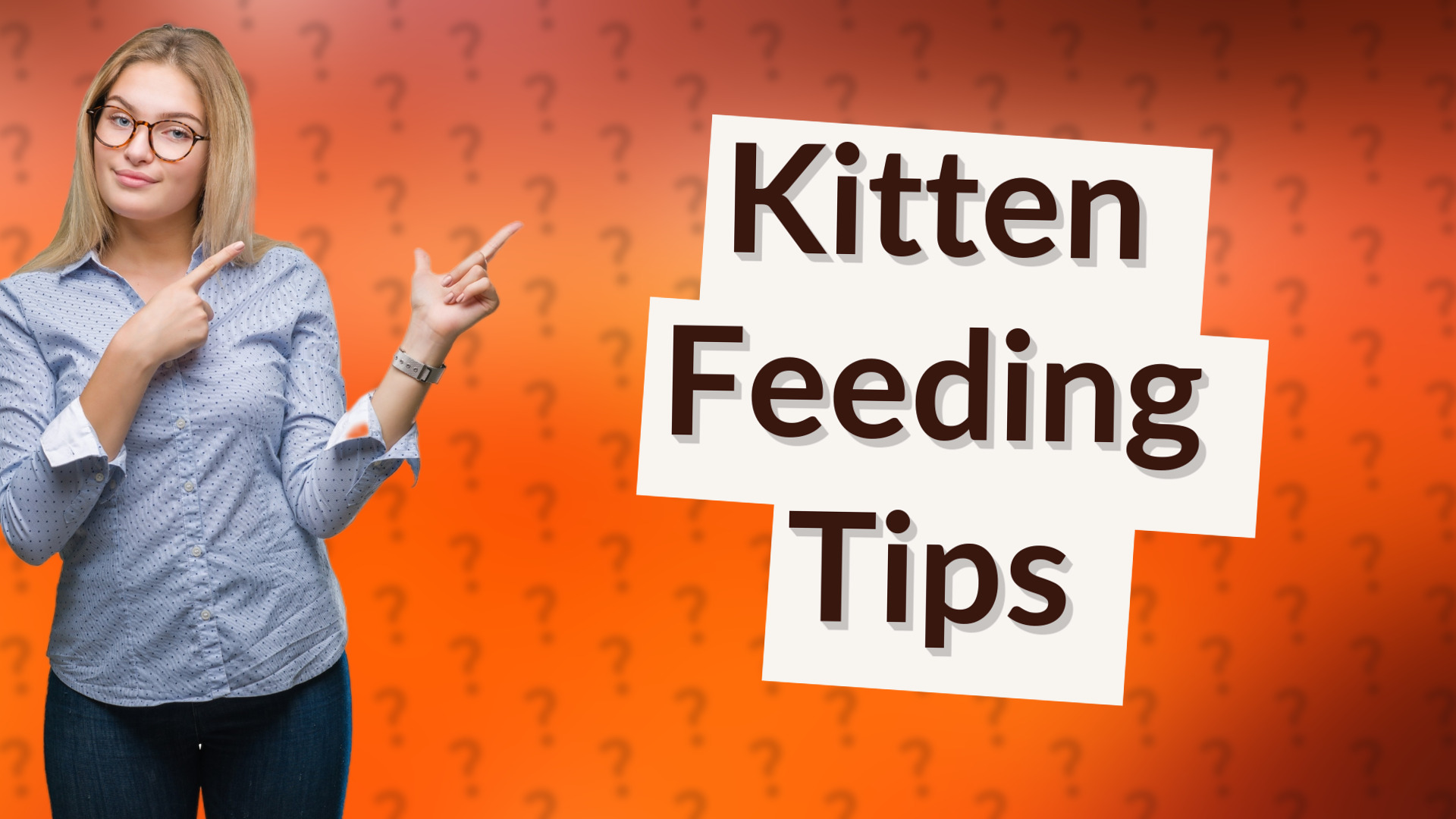 Kitten Feeding Tips