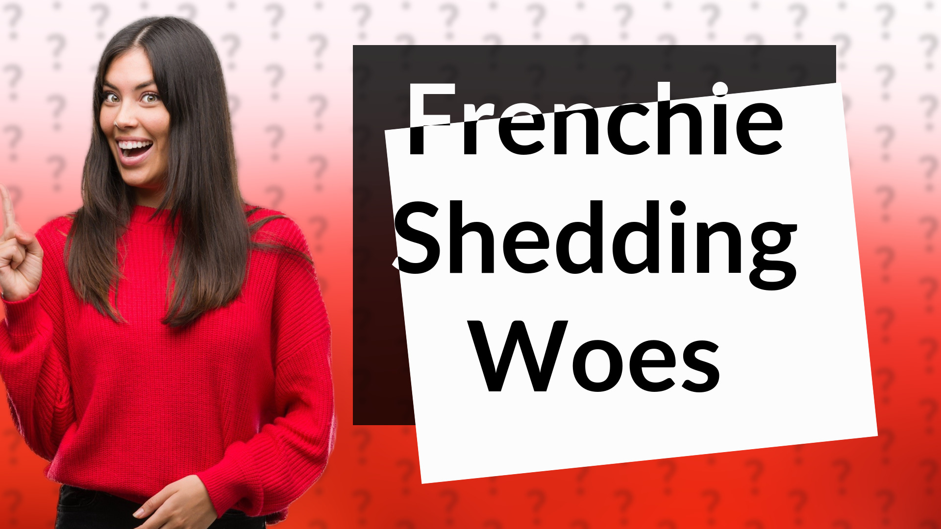 Frenchie Shedding Woes