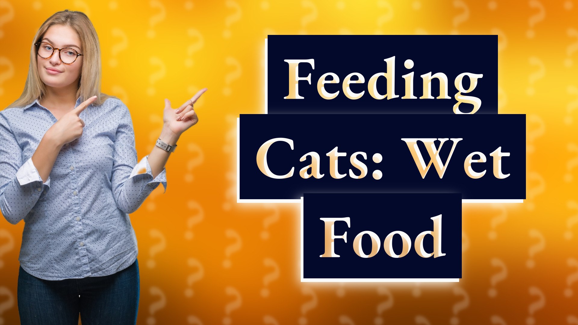 Feeding Cats: Wet Food