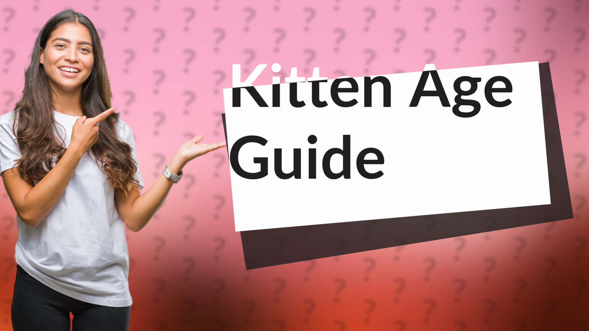 Kitten Age Guide