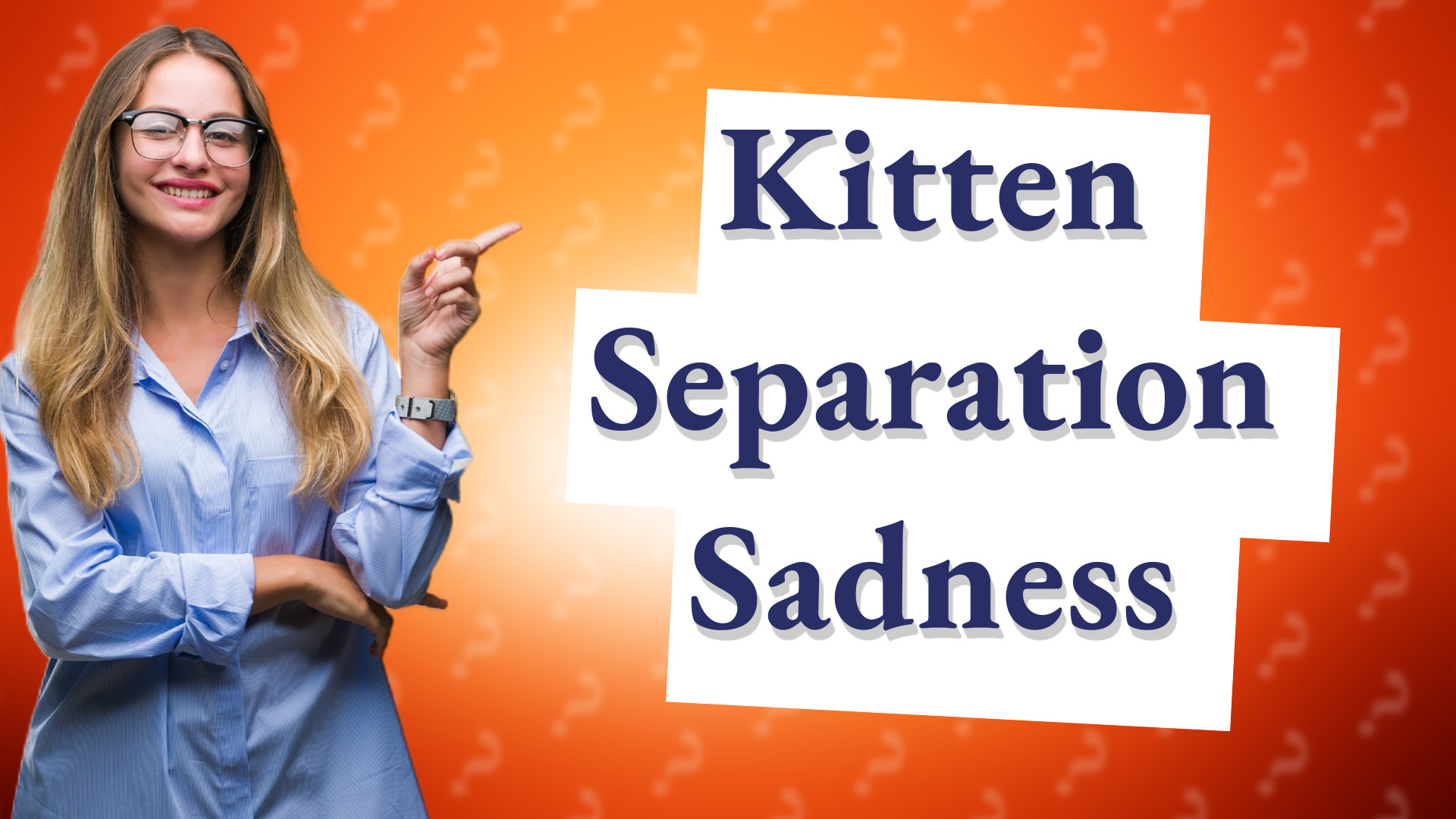 Kitten Separation Sadness